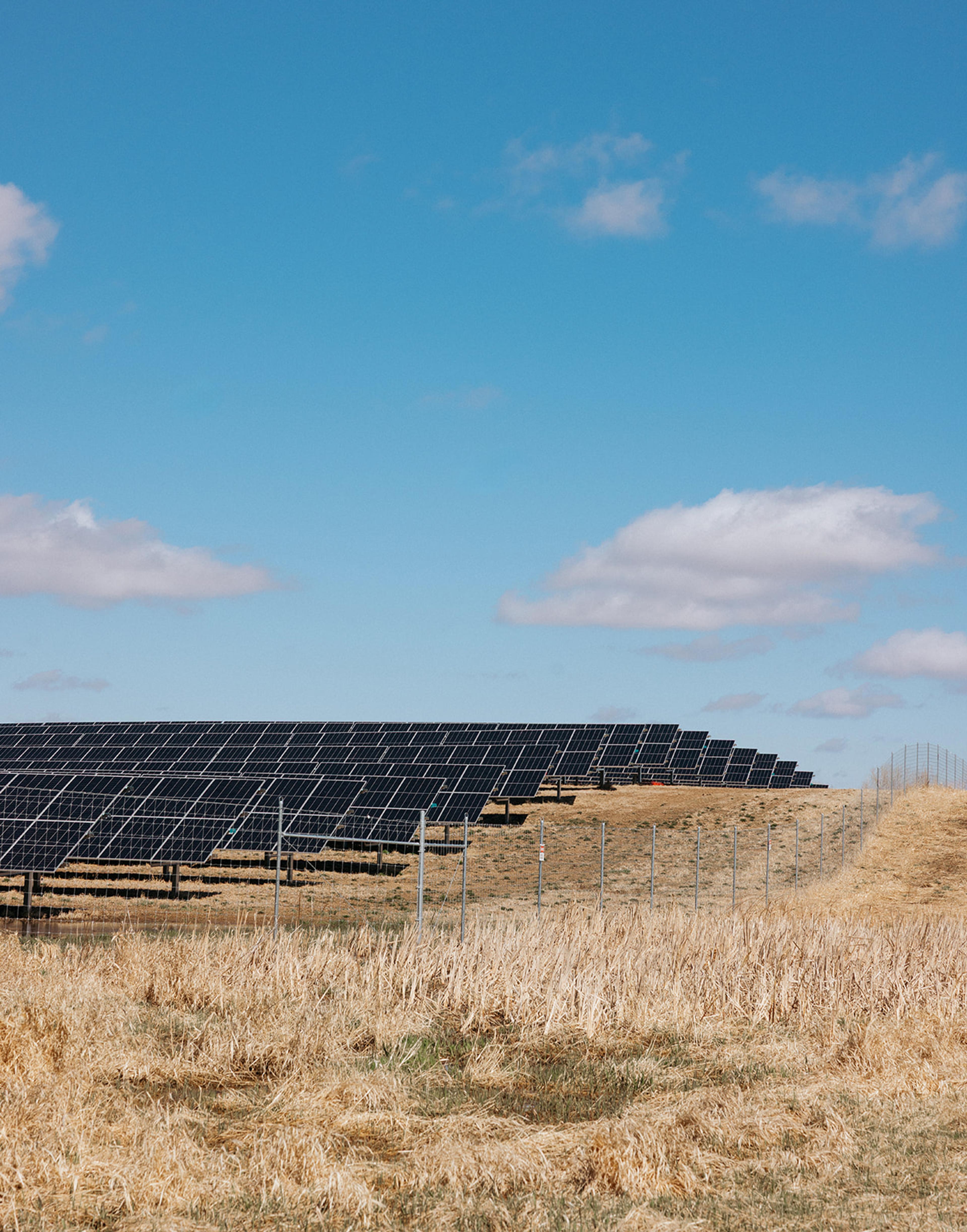 solar panels in a field