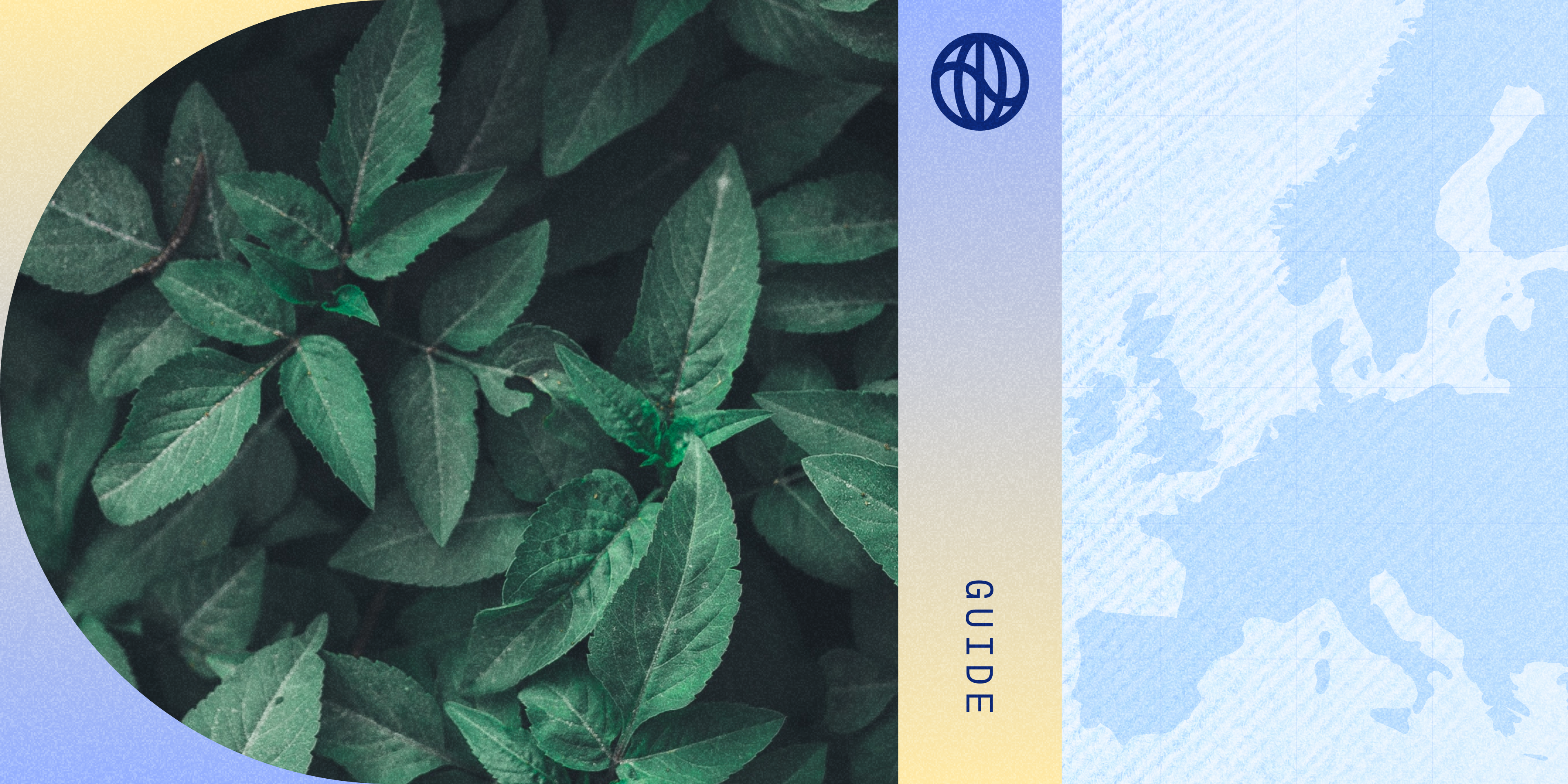 an image of the CSRD experts who spoke at Watershed's webinar