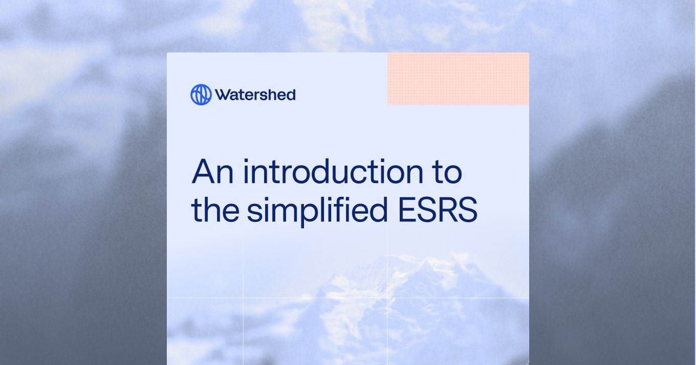 simplified-esrs