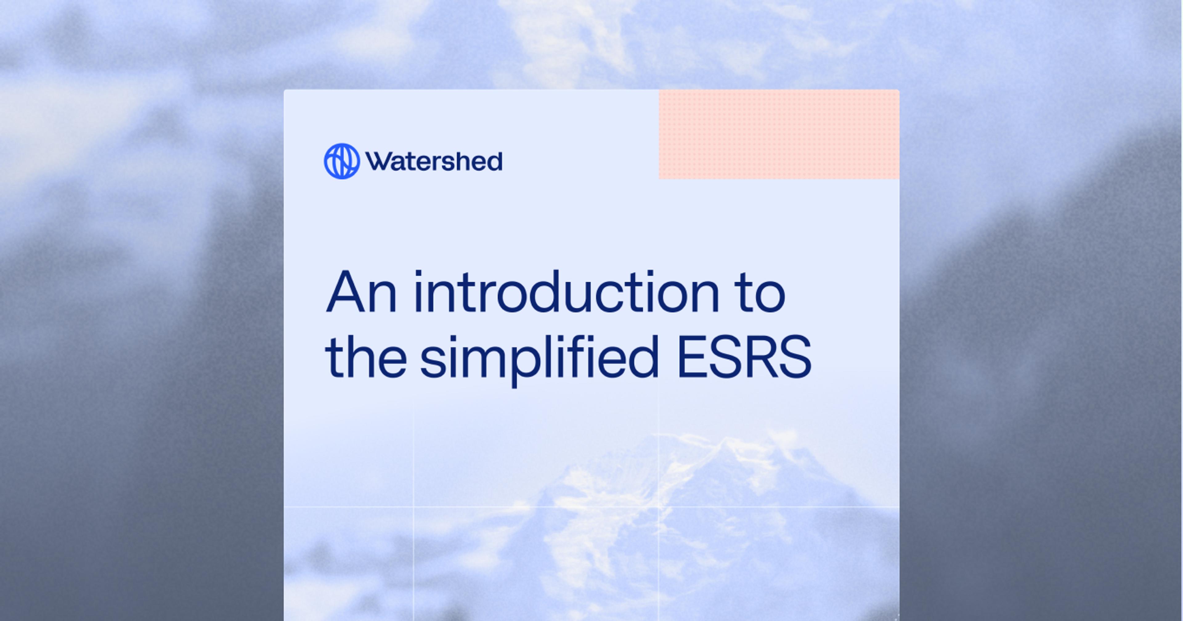 simplified-esrs