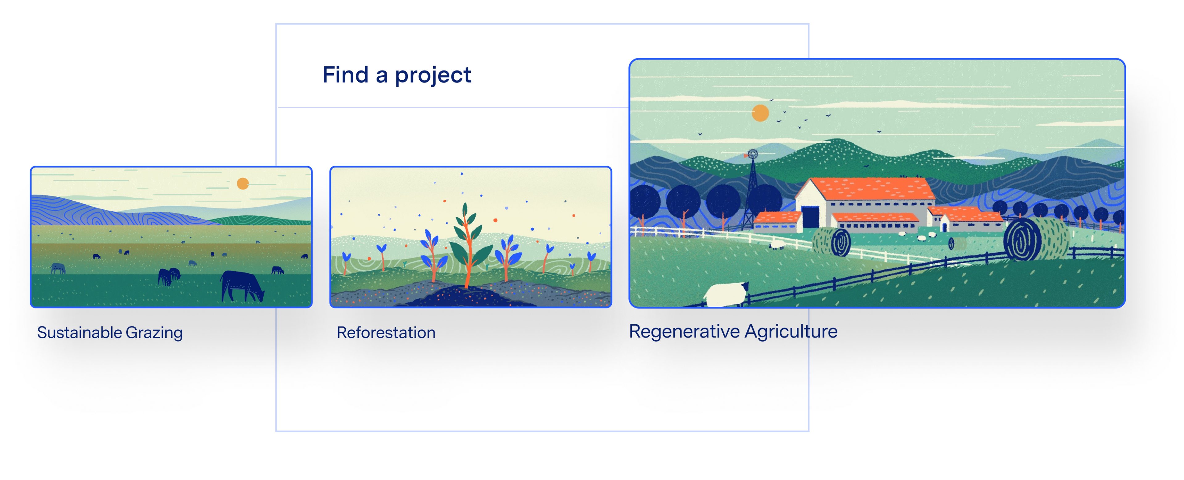 Near term sustainability strategies: Sustainable Grazing, Reforestation, Regenerative Agriculture