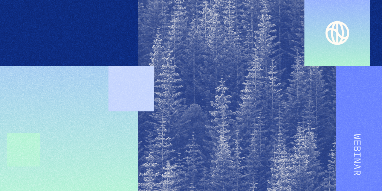 AI sustainability webinar