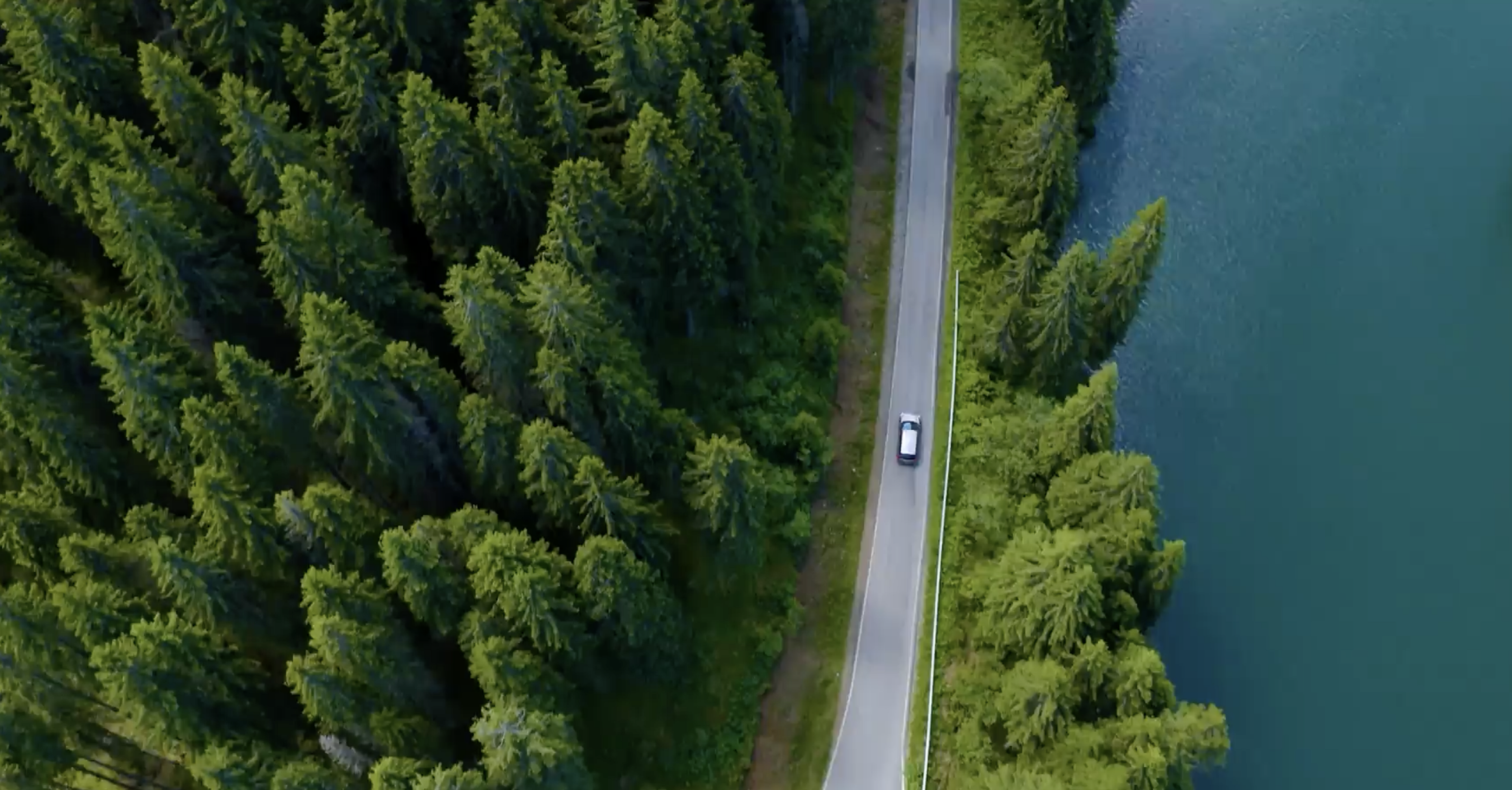 car driving through forest