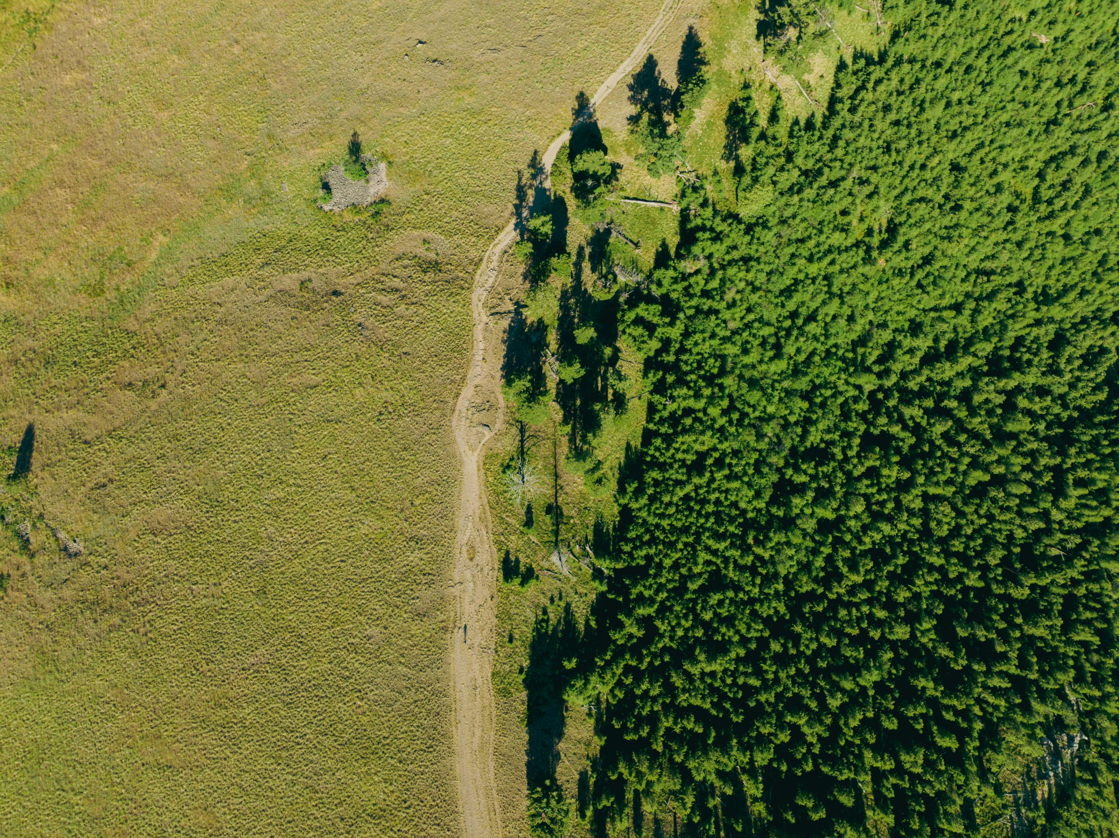Anonymous Global Tech Company x Watershed