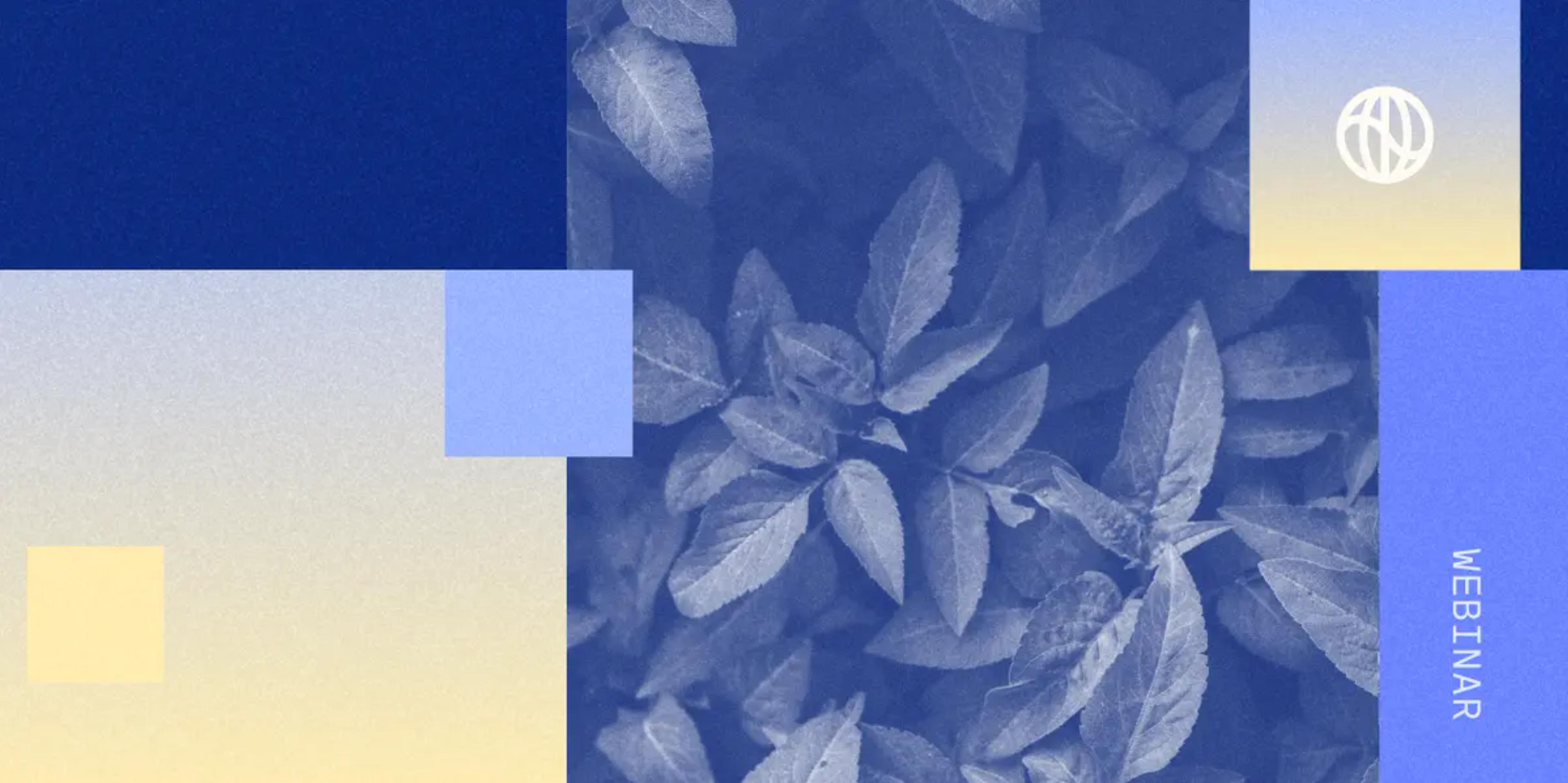 Leaves with yellow and blue boxes