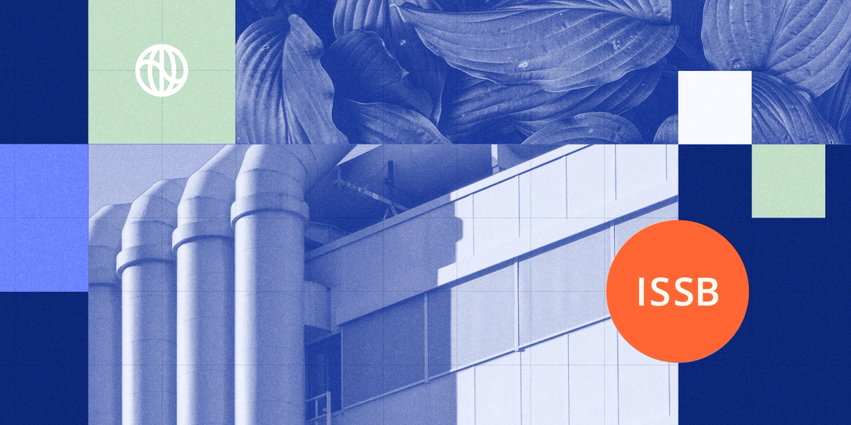 ISSB disclosure standards: what companies need to know for 2023 ...