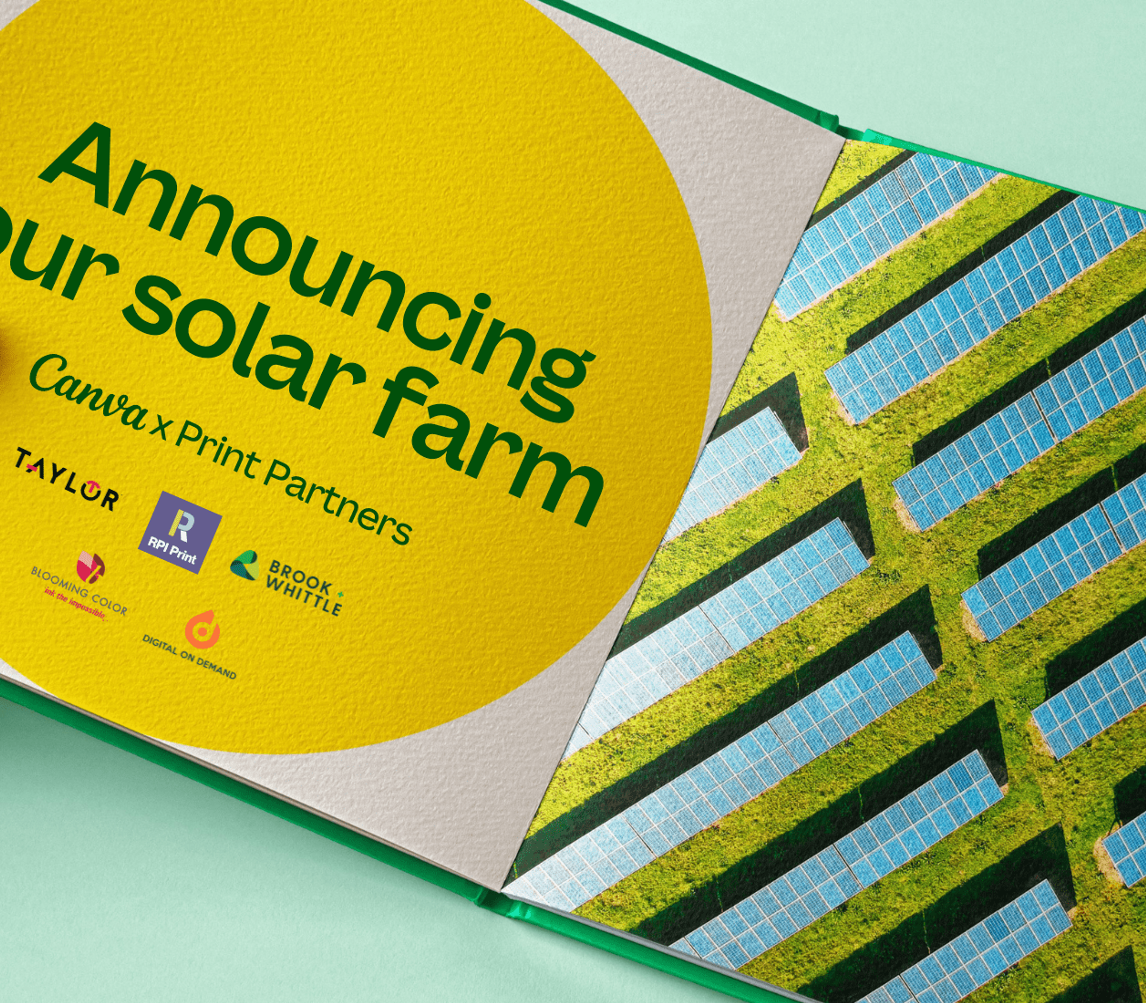 How Canva is setting a new standard for reducing scope 3 emissions and making a lasting climate impact