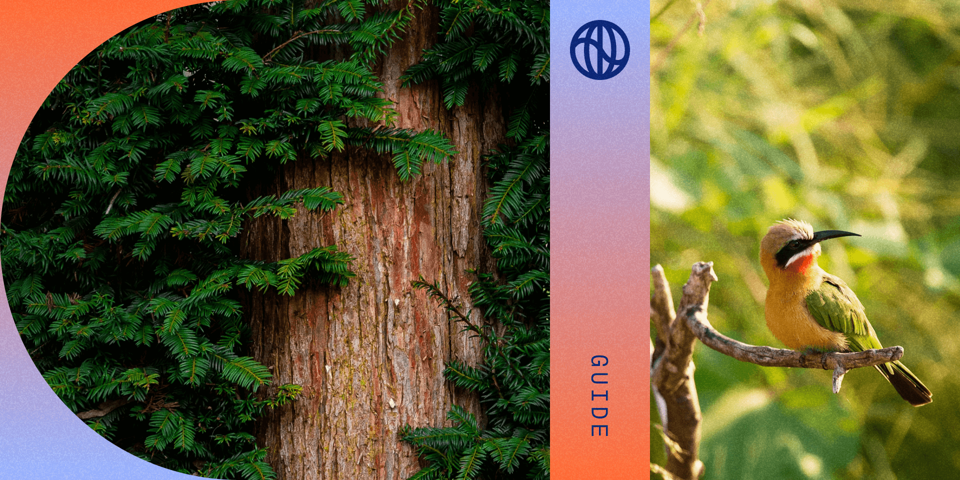 The Corporate Sustainability Reporting Directive (CSRD) section on biodiversity and ecosystems (ESRS E4)