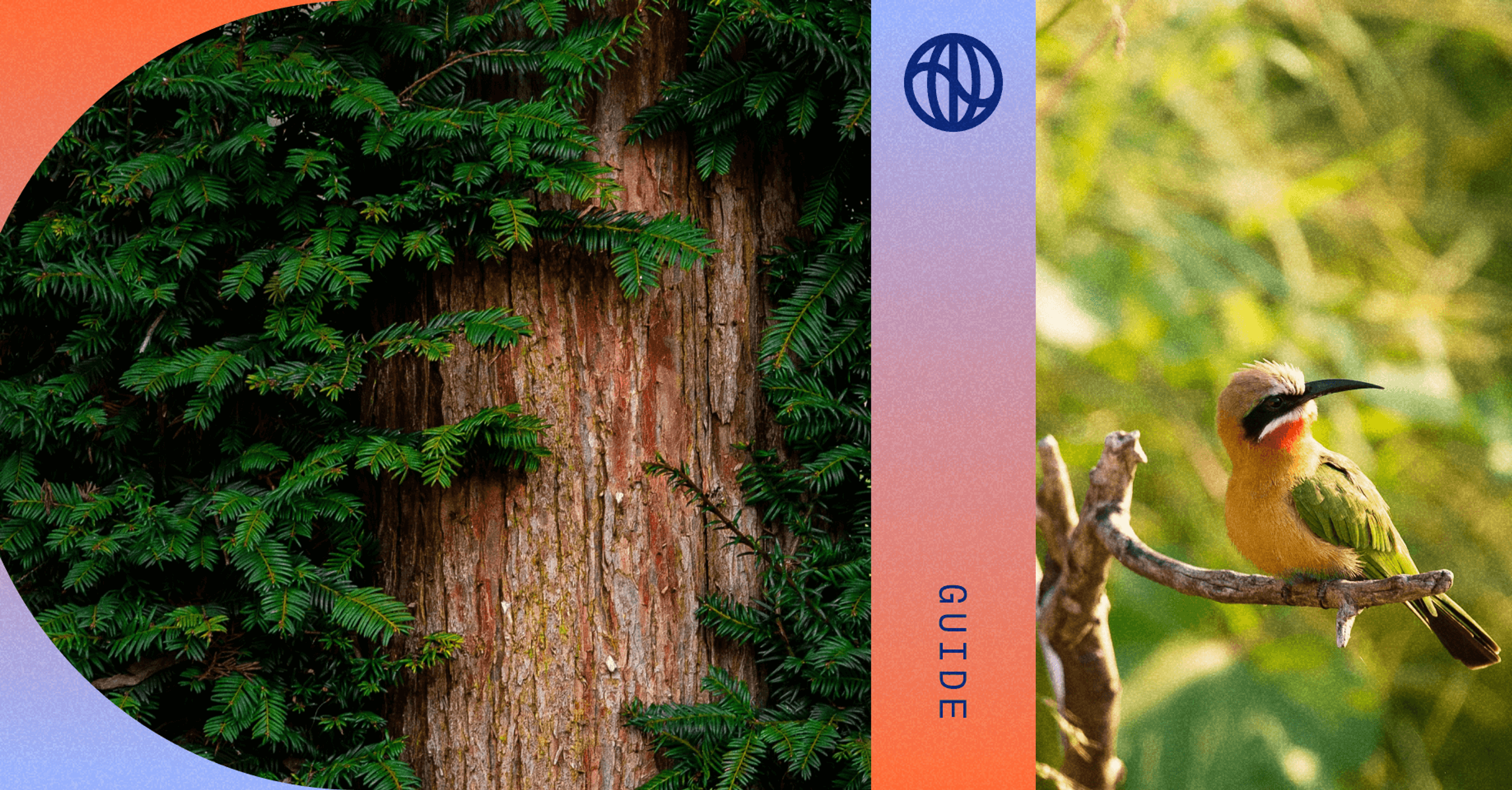 The Corporate Sustainability Reporting Directive (CSRD) section on biodiversity and ecosystems (ESRS E4)