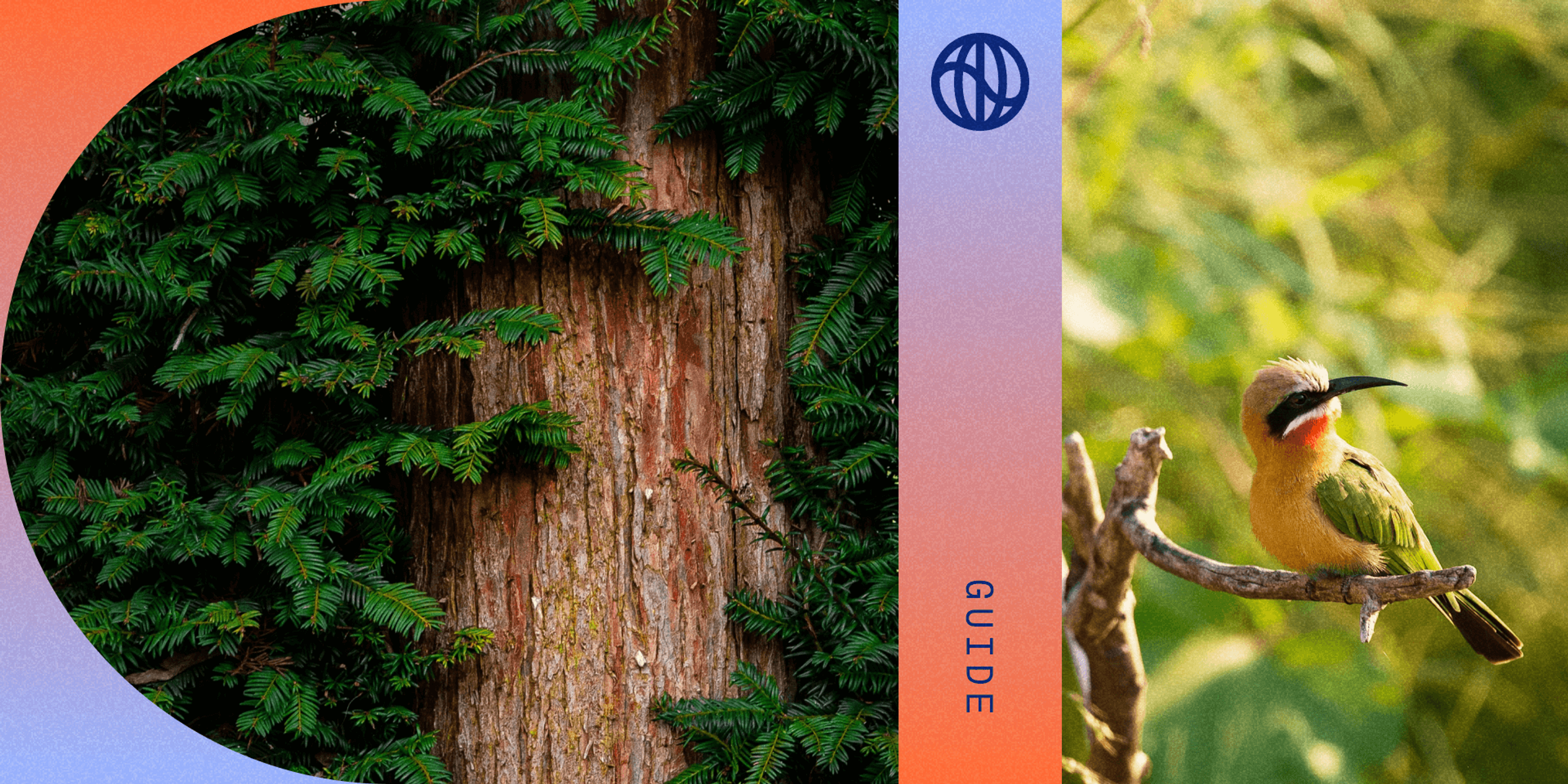 The Corporate Sustainability Reporting Directive (CSRD) section on biodiversity and ecosystems (ESRS E4)