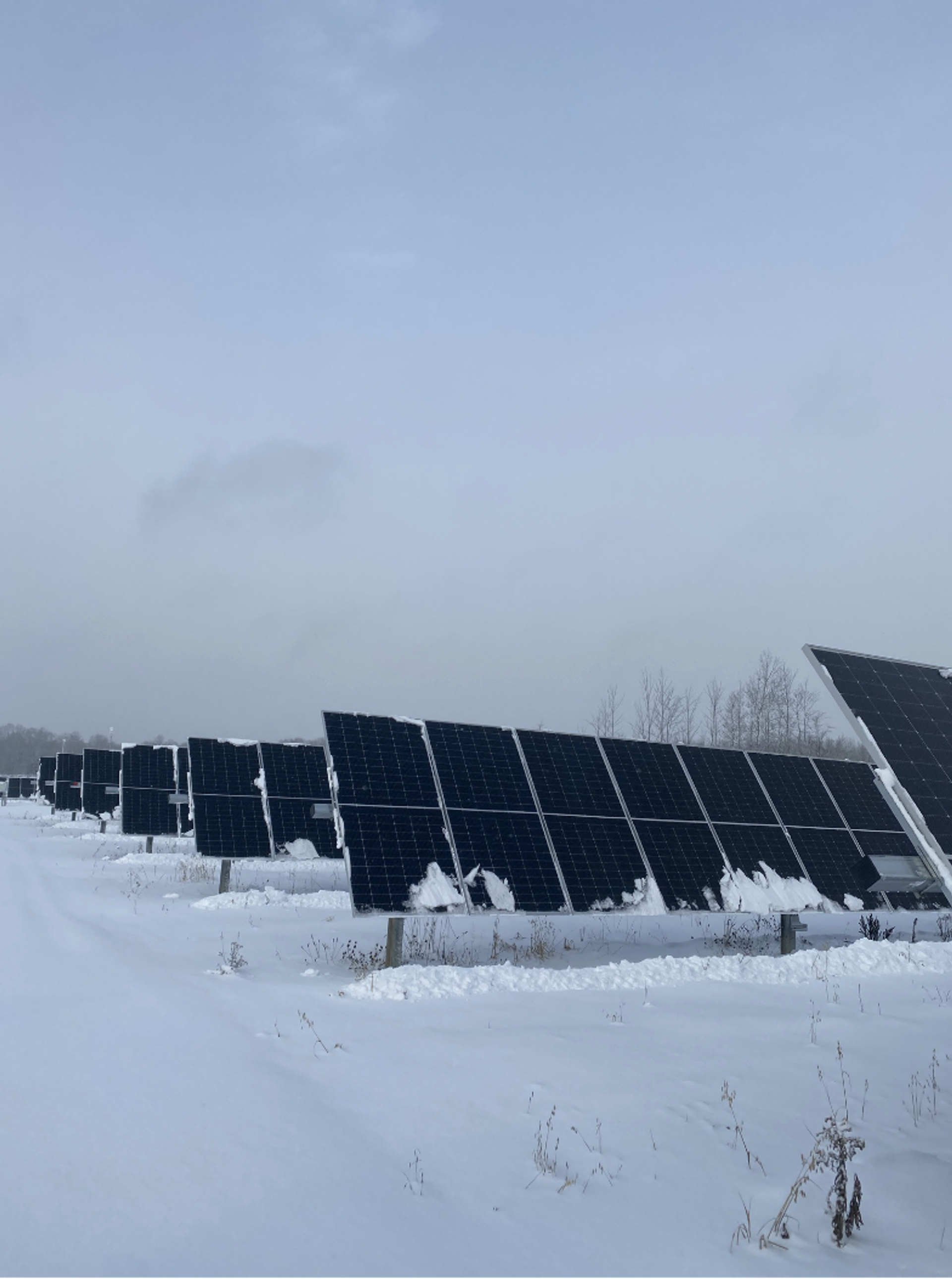 solar farm in the snow