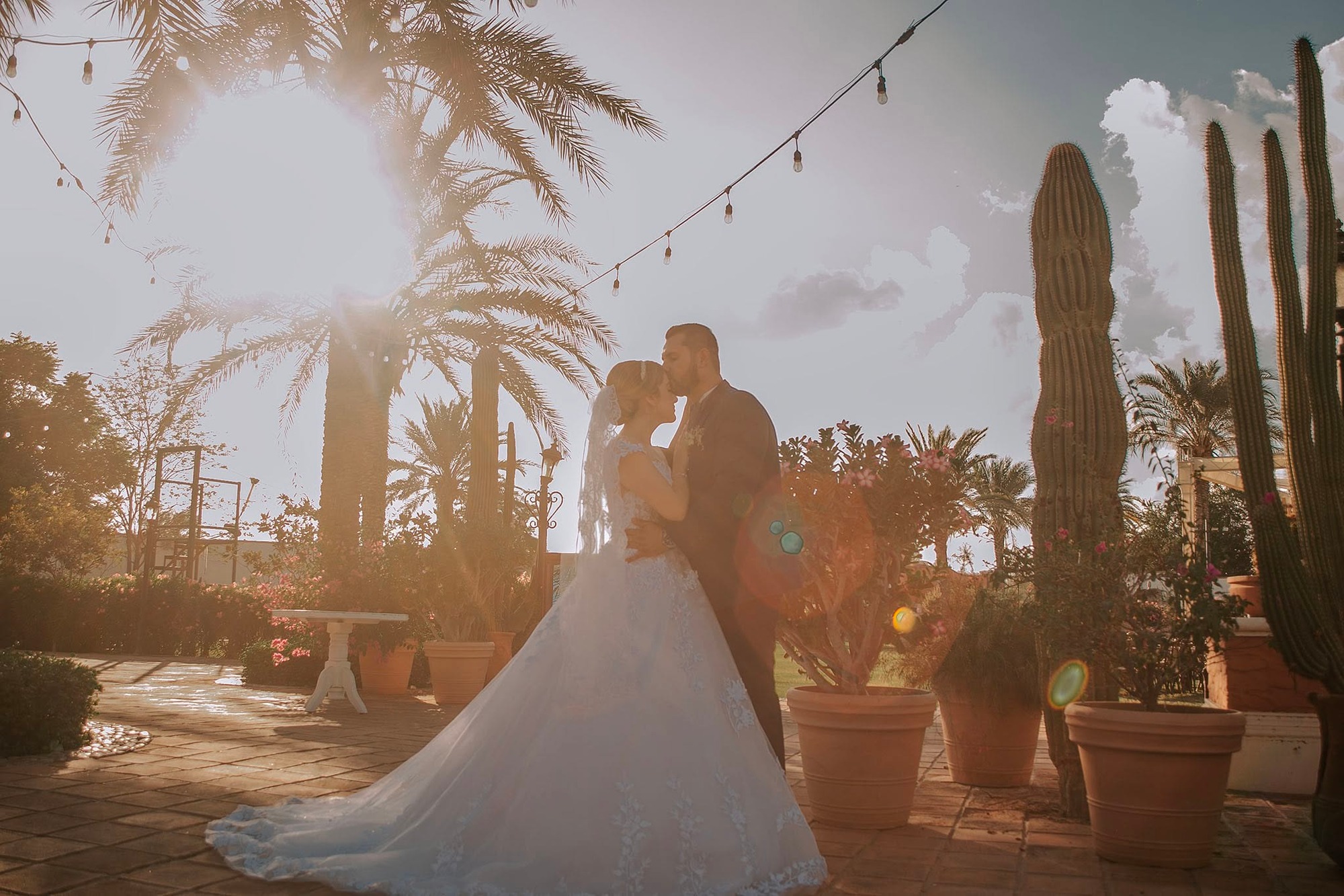 YESENIA Y RODRIGRO  imagen 4