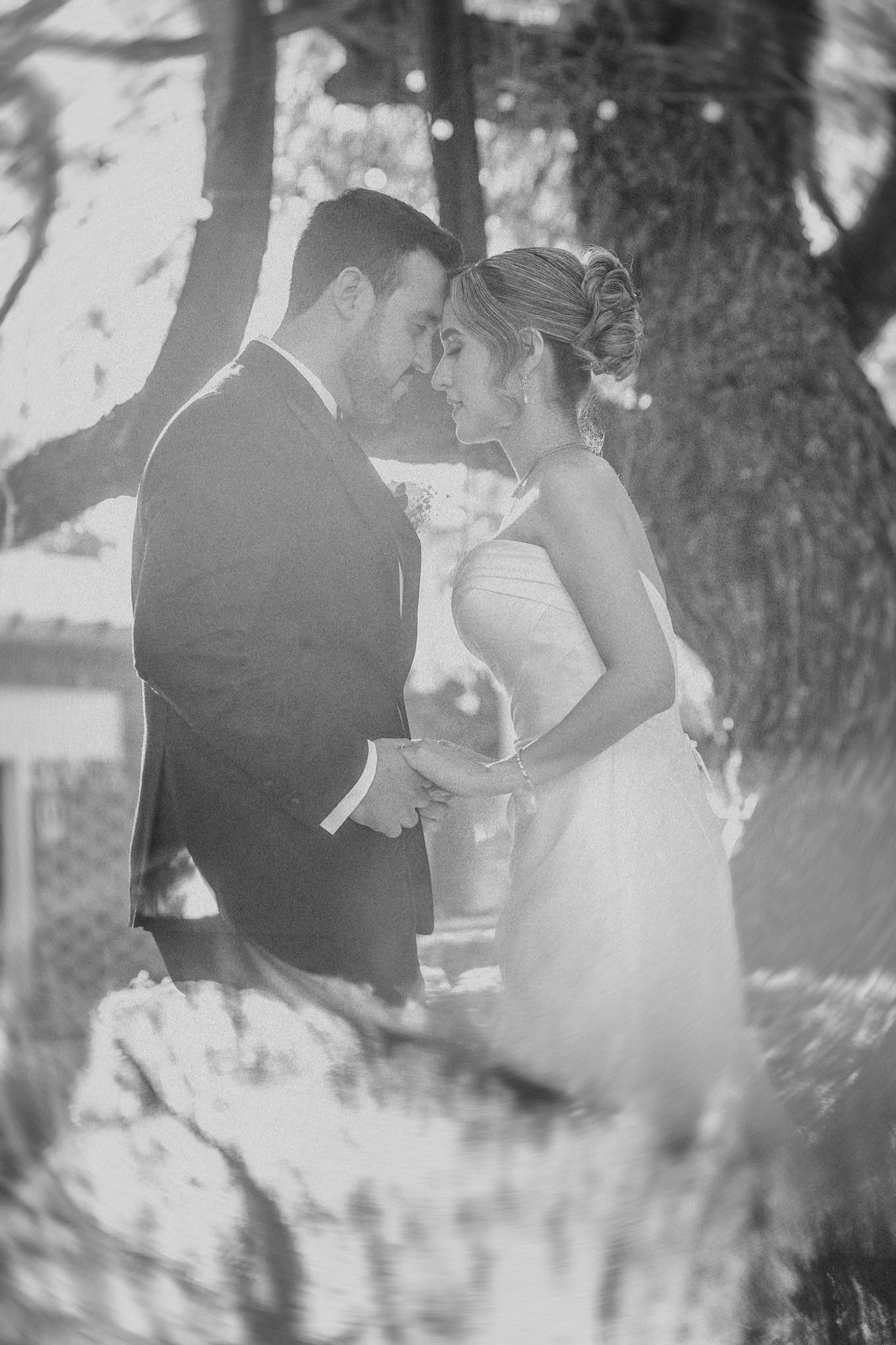 VIVIANA Y JUAN ADOLFO  imagen 4