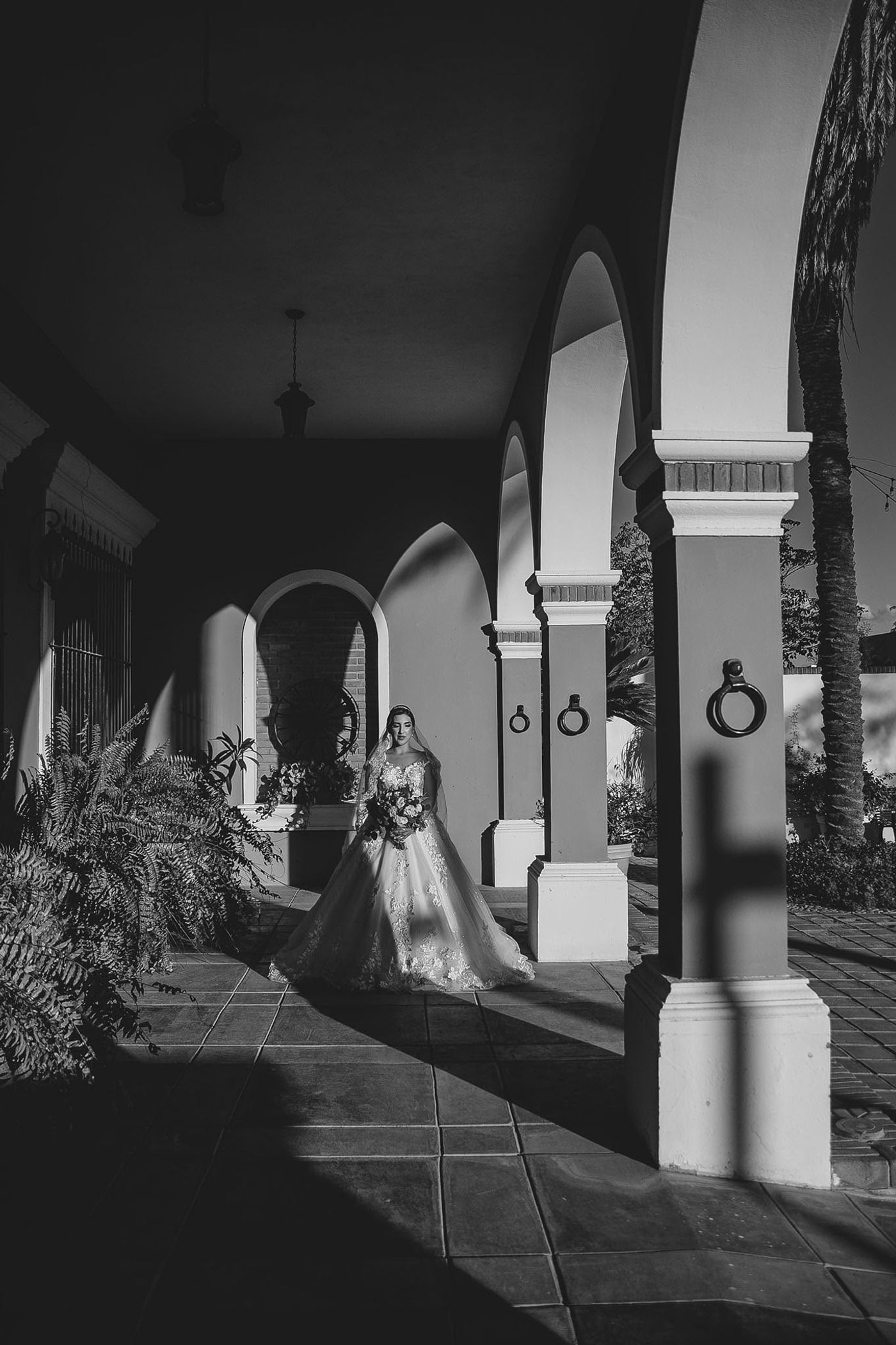 YESENIA Y RODRIGRO  imagen 13