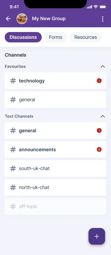 Progressive One-Question-Per-Screen Input Flow