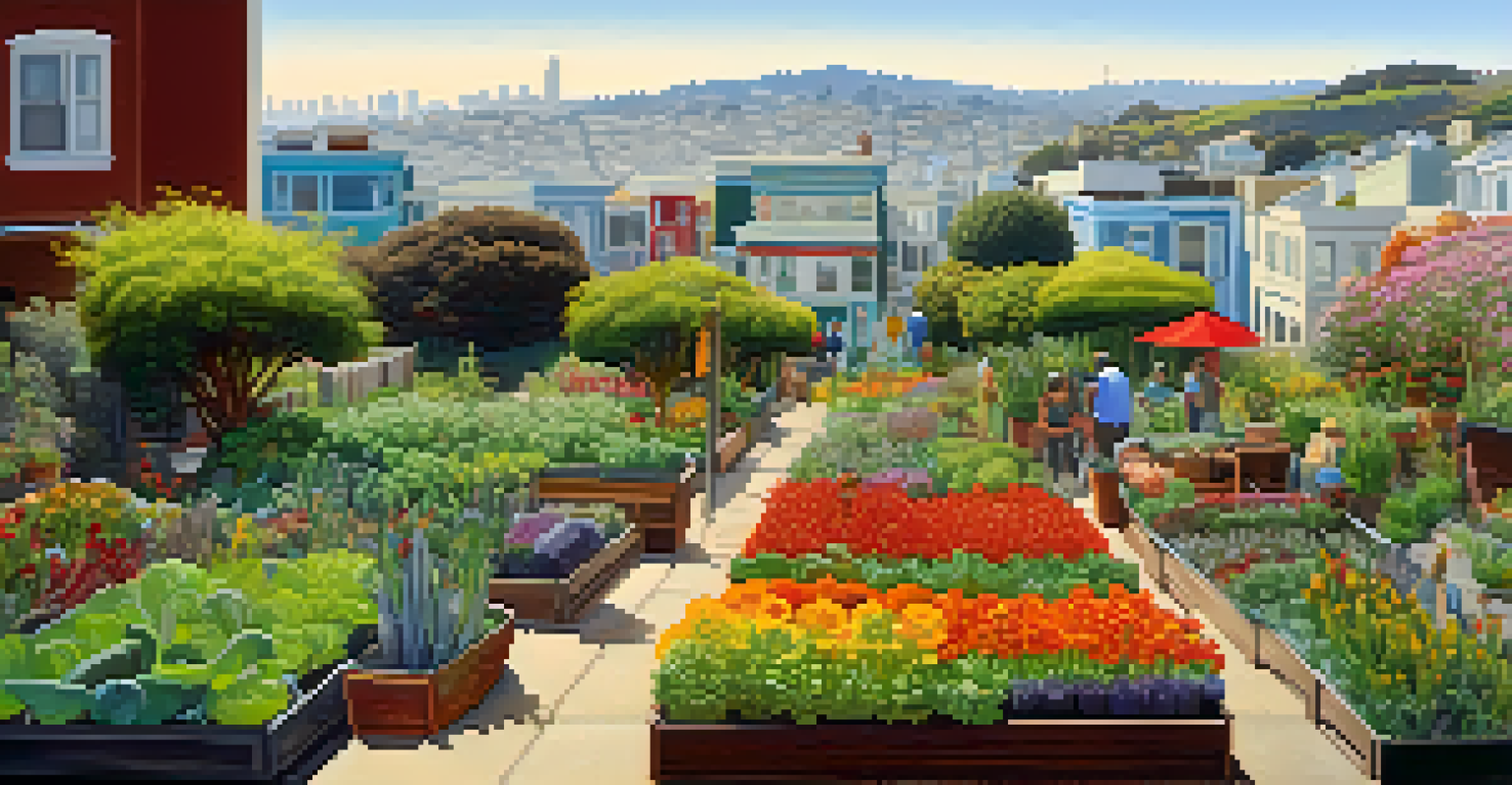 An urban garden in the Mission District with colorful plants and people enjoying the sun, fog in the background.