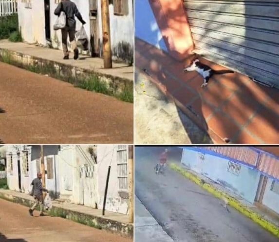 Ministerio público abre investigación a sujeto señalado de asesinar con crueldad a mascotas en Anzoátegui 