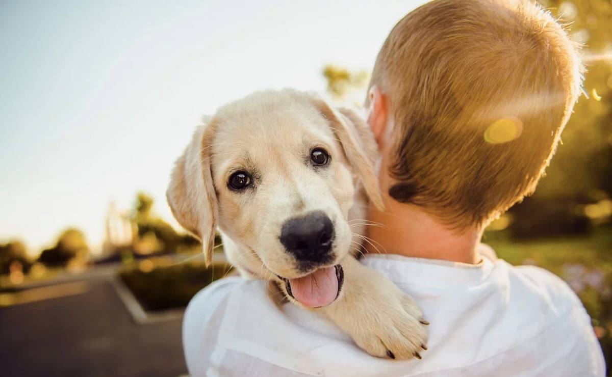El amor de los perro es realmente medicinal, revela un nuevo estudio