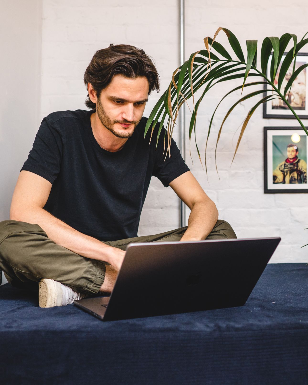 A team member sitting cross-legged on a sofa, working on a laptop, a palm plant behind. Web application development, Software Engineering.