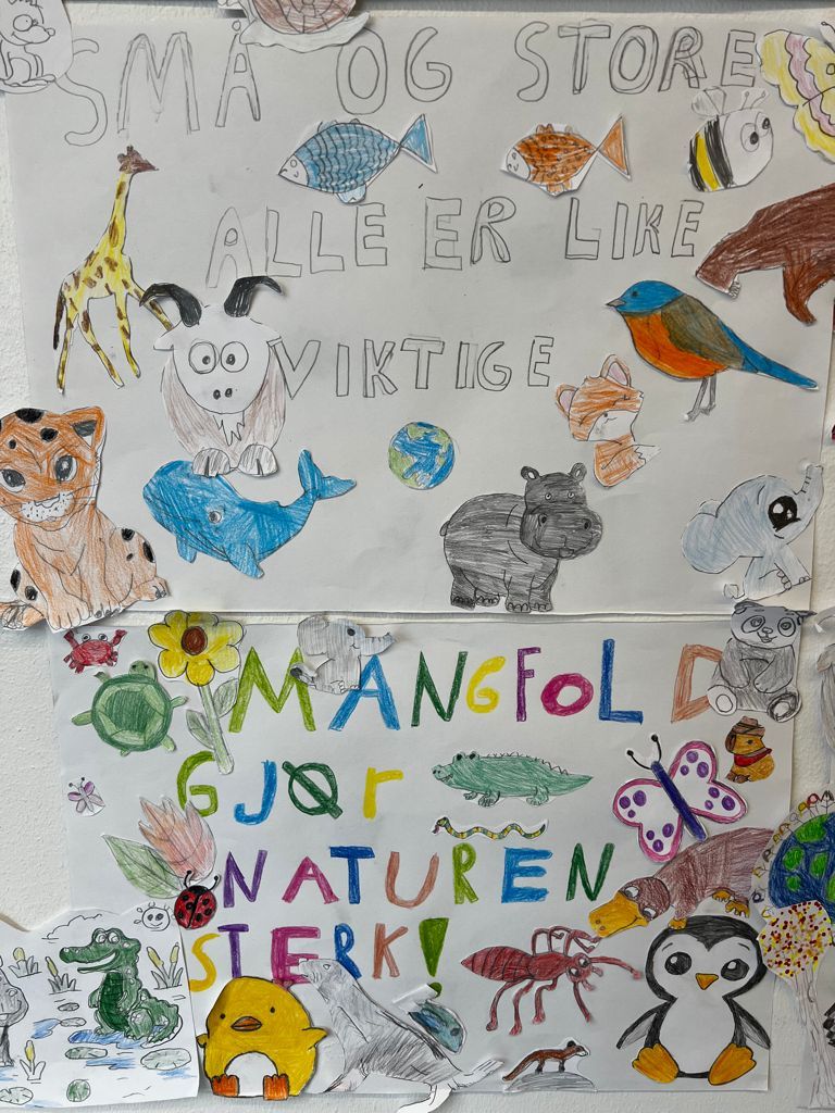 Innspill fra 6C Bestum skole
