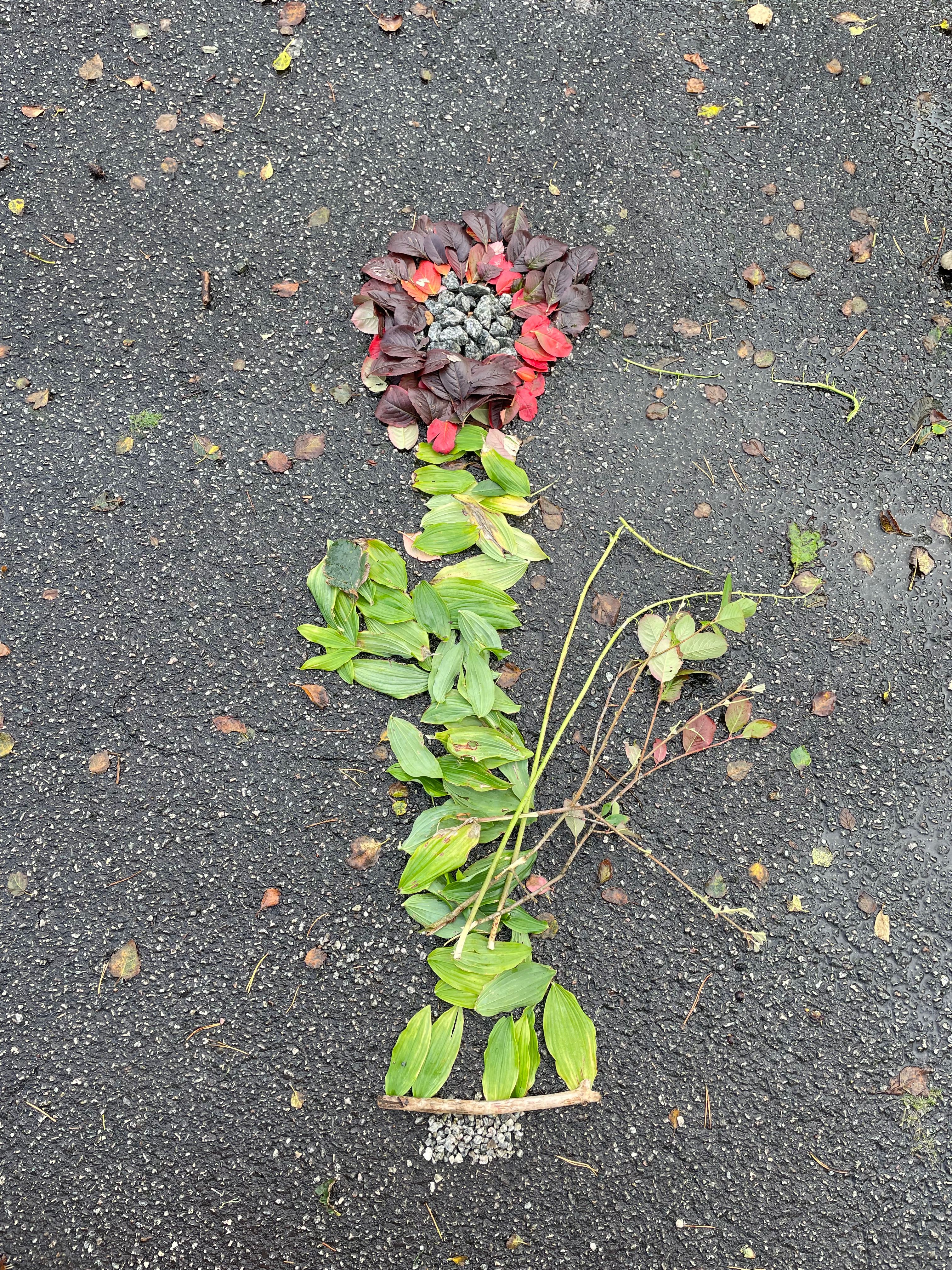 svar fra 4  ved Ådland skole