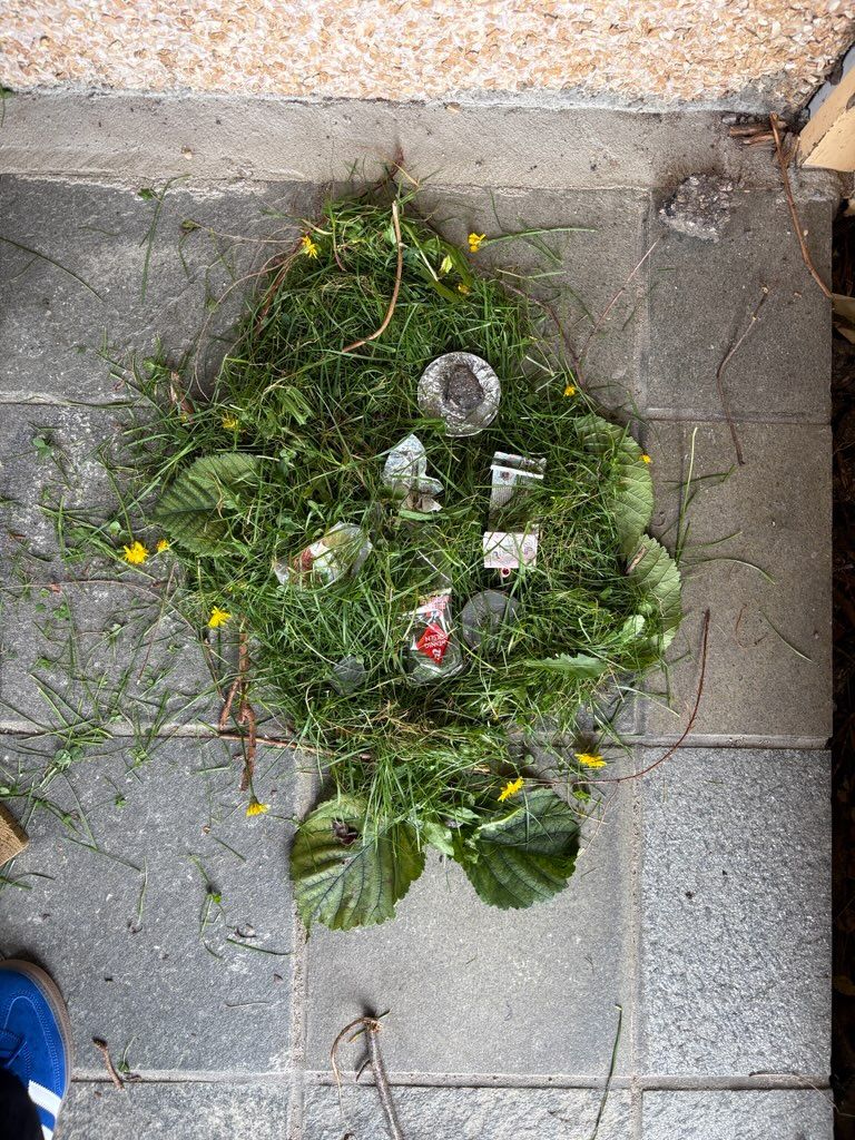 svar fra 5 B ved Lillesand kommune - Borkedalen skole