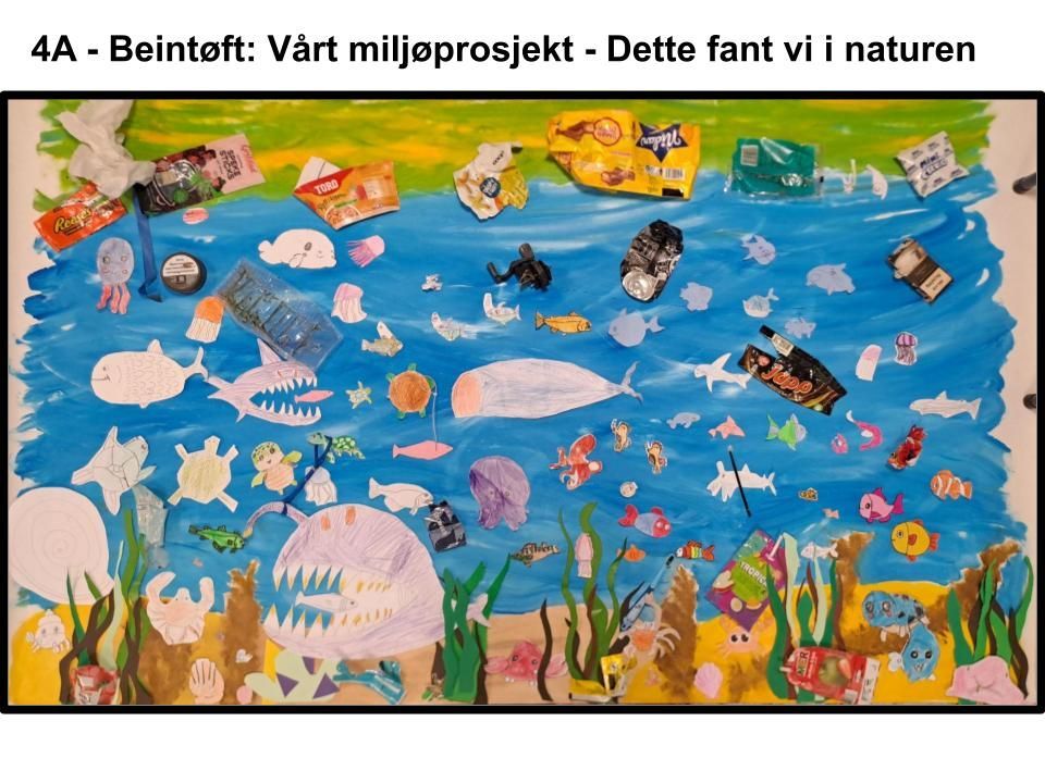 Innspill fra 4 Buøy skole