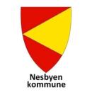 Nesbyen kommune 