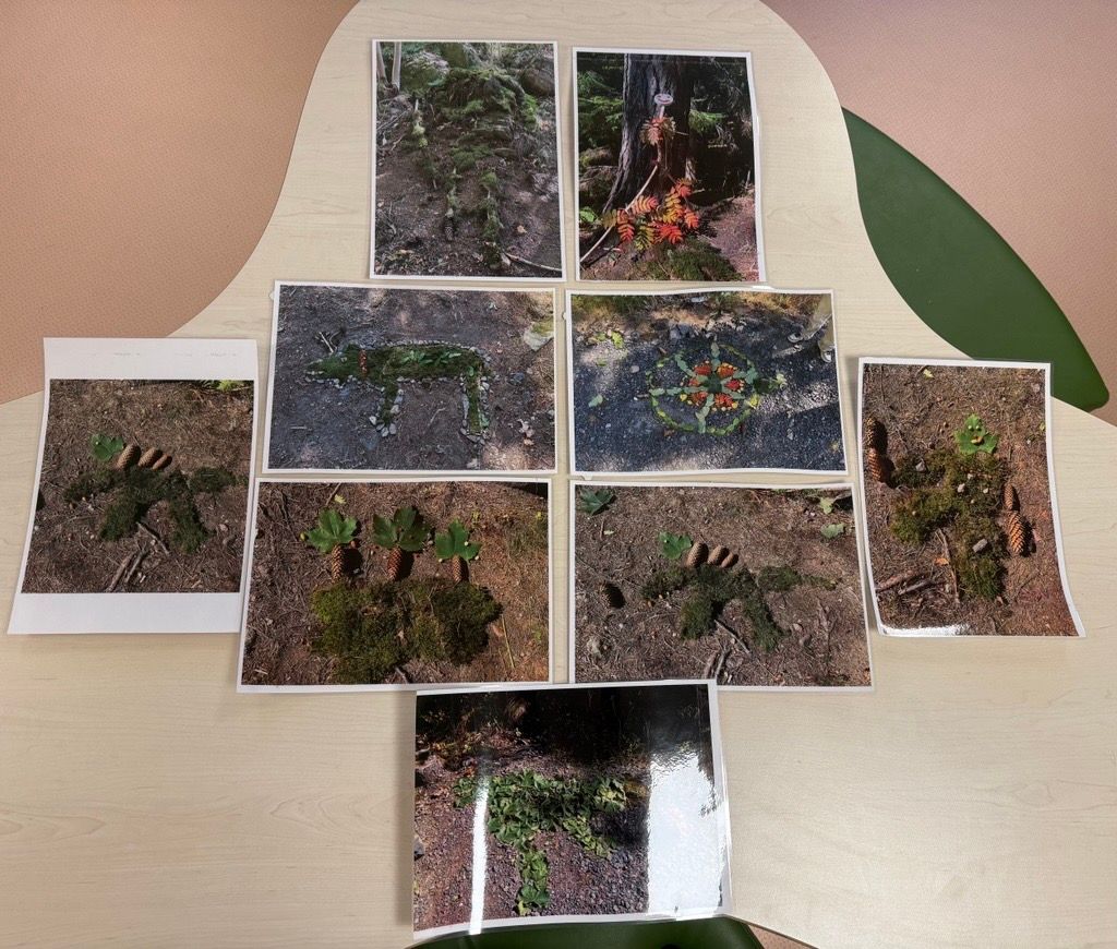 Innspill fra 5A Tvedestrand barneskole