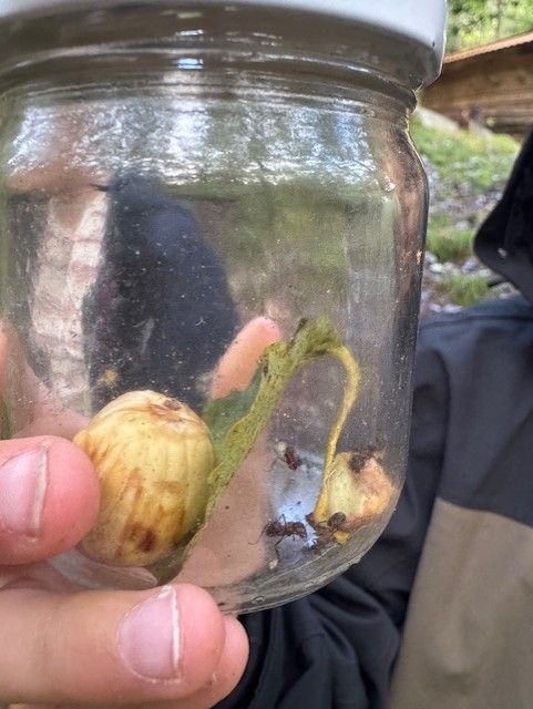 svar fra 3 C ved Moseidmoen skole