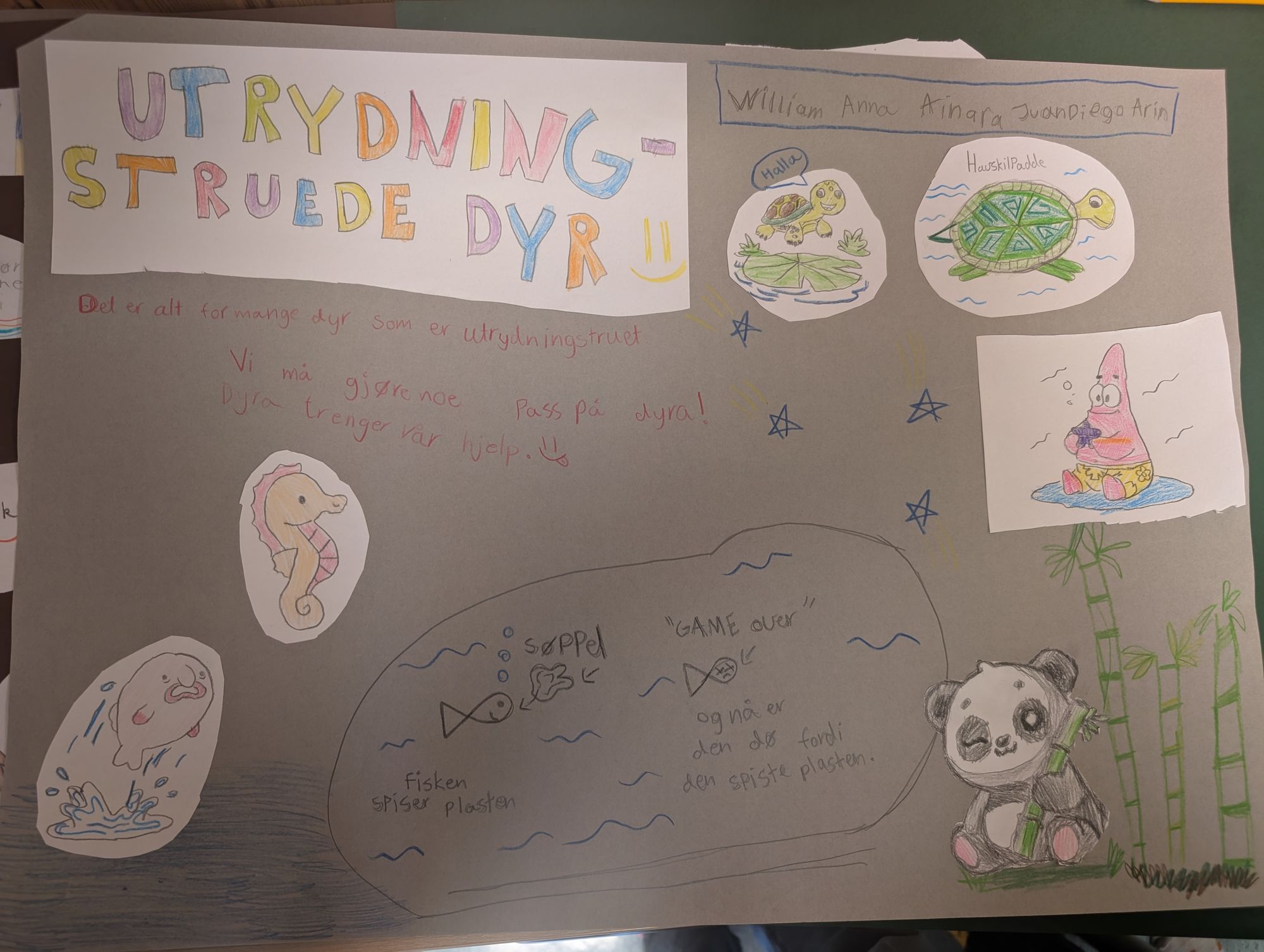 Innspill fra 5B Birkenlund skole