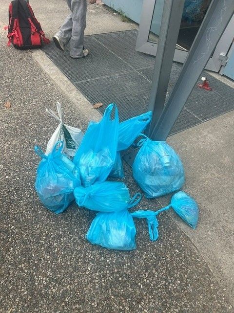Innspill fra 4 Karuss skole
