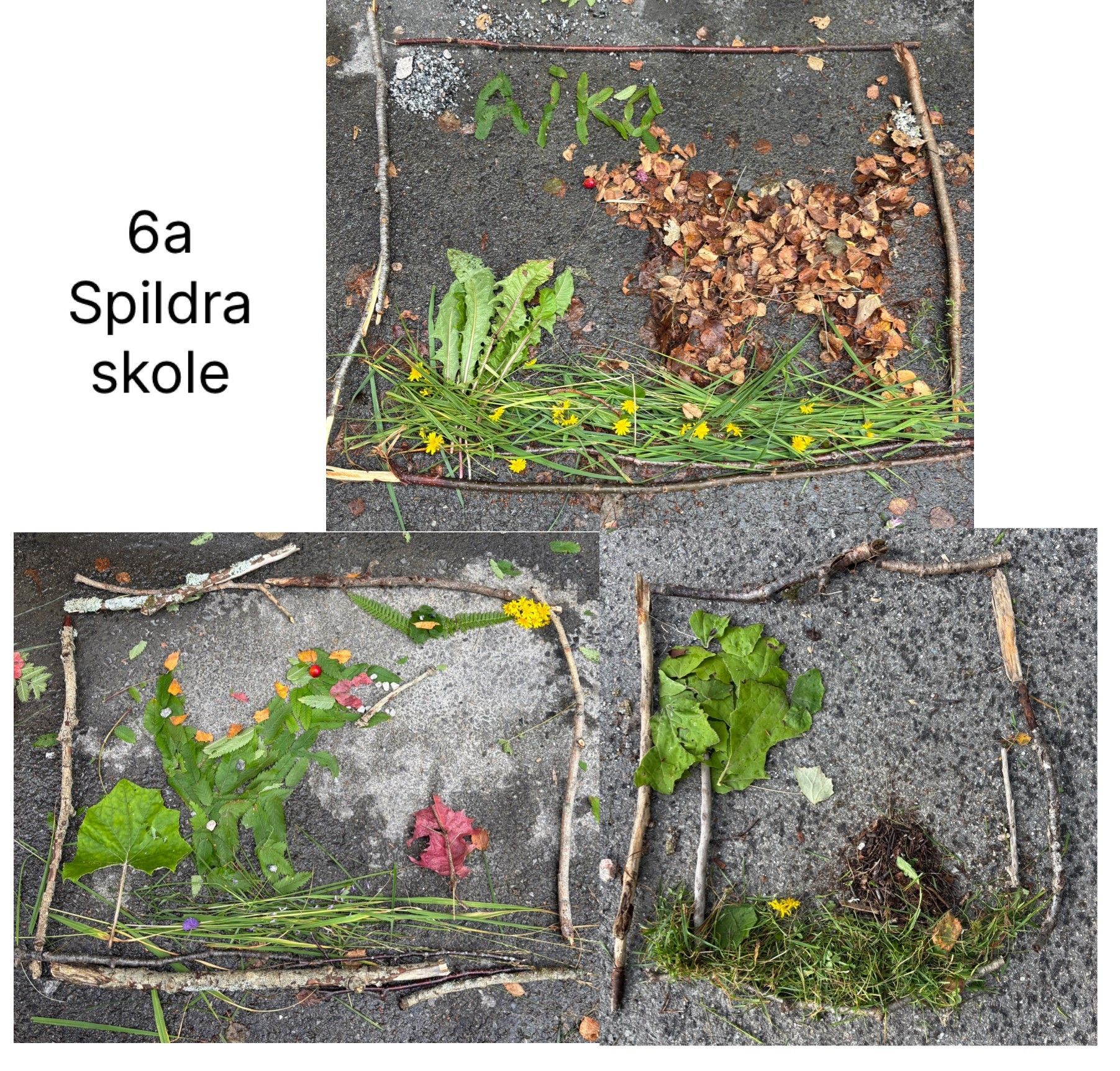 svar fra 6 A ved Spildra skole