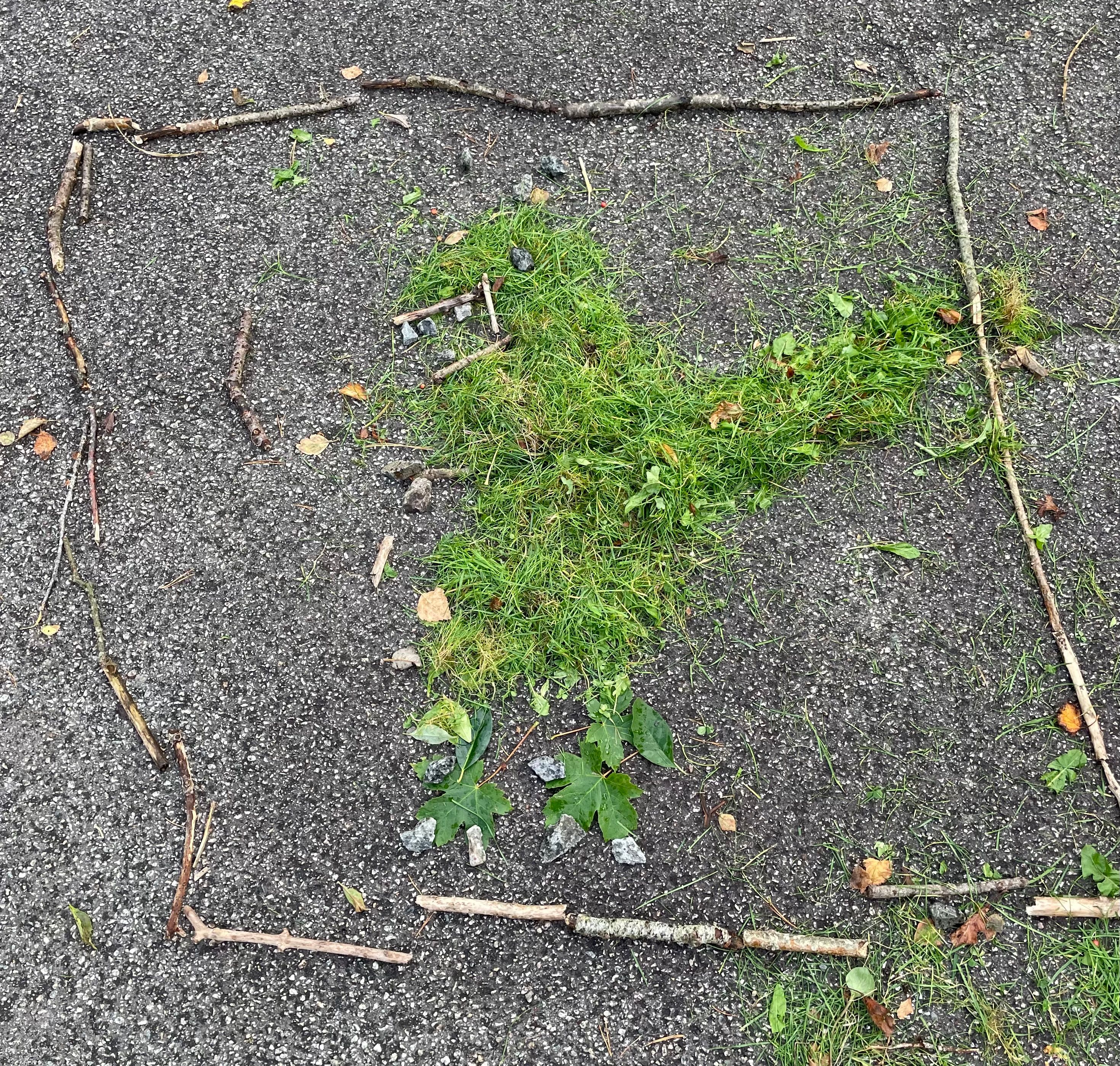 svar fra 3  ved Ådland skole