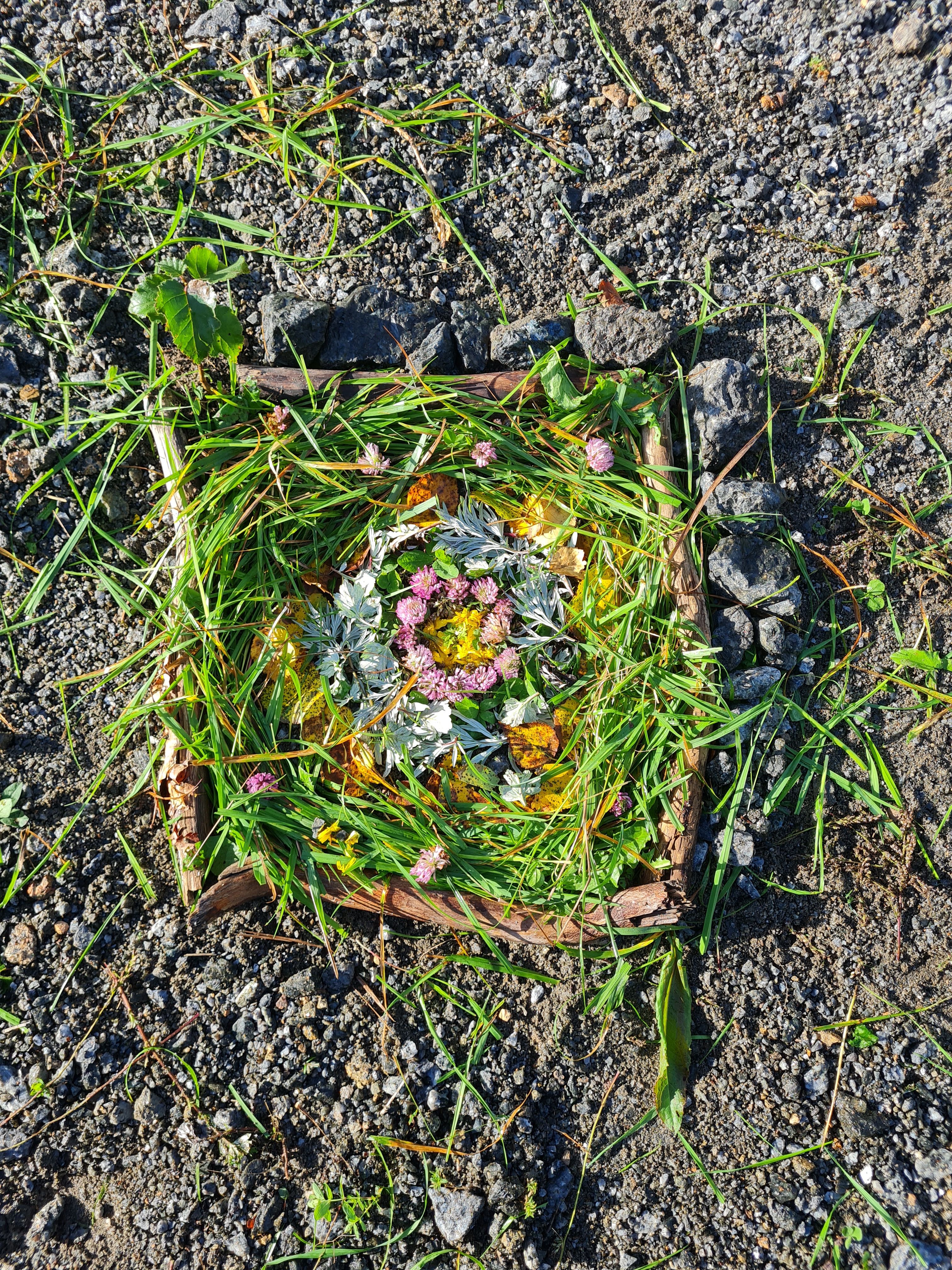 svar fra 5 C ved Fagerli skole