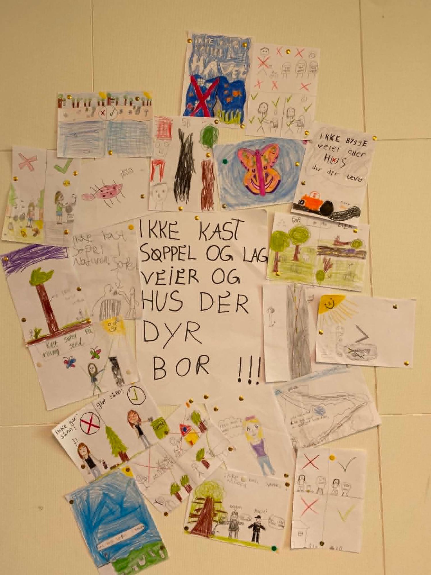 Innspill fra 5B Tvedestrand barneskole