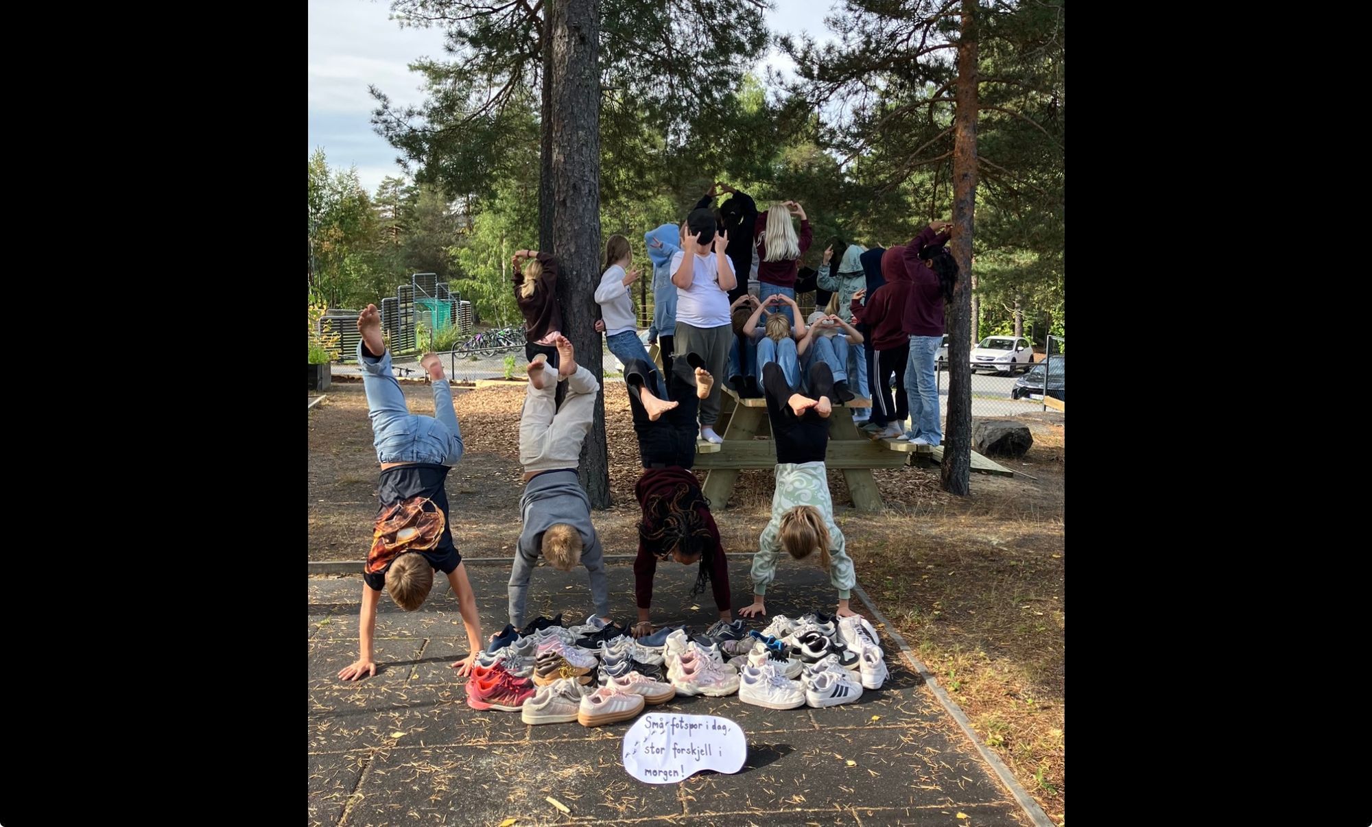 Innspill fra 5C Gamlegrendåsen skole