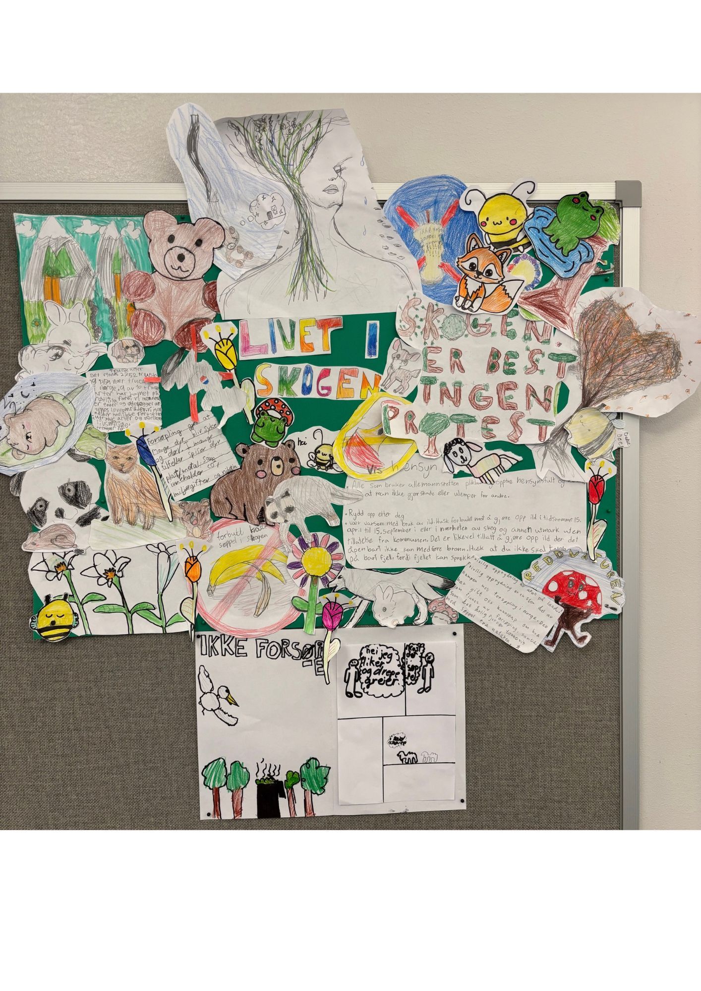 Innspill fra 5A Vollebekk skole