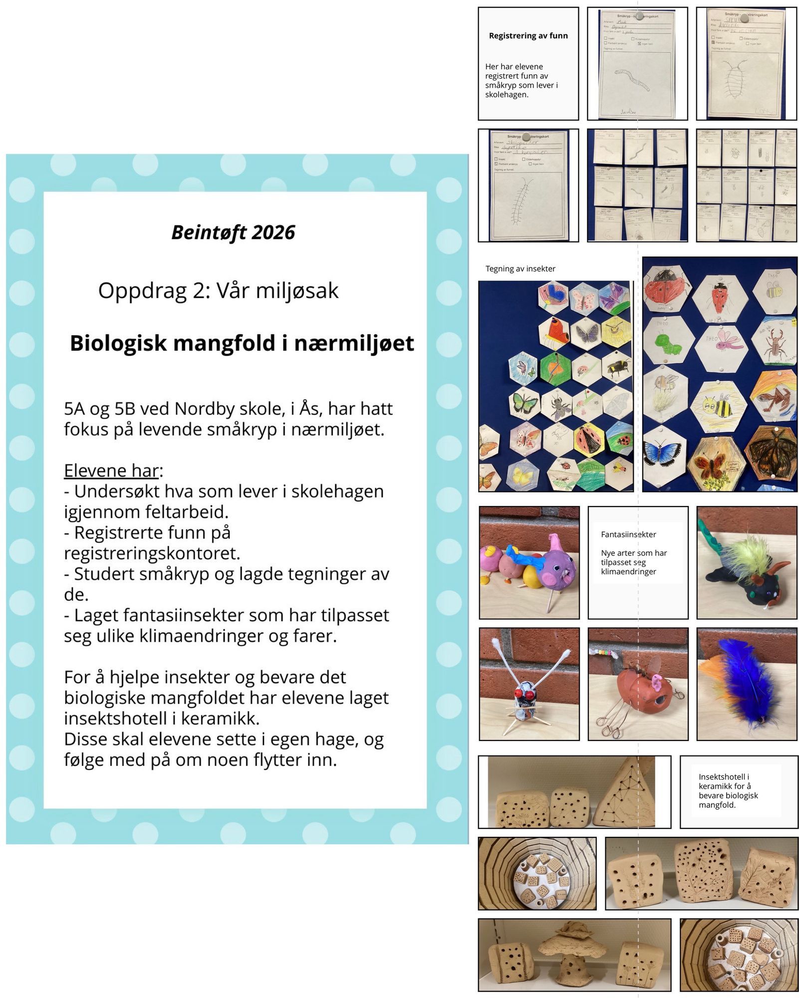 Innspill fra 5B Nordby skole