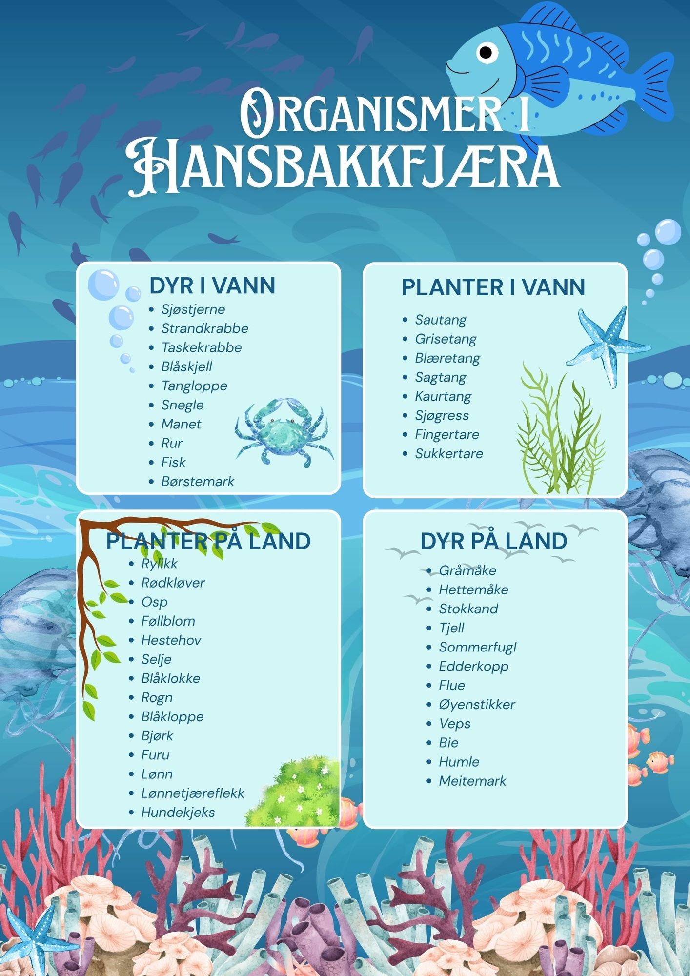 Innspill fra 4 Hansbakken skole