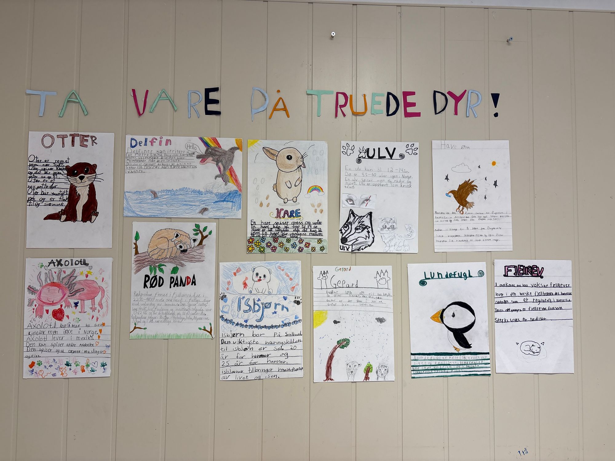 Innspill fra 1 Veien skole