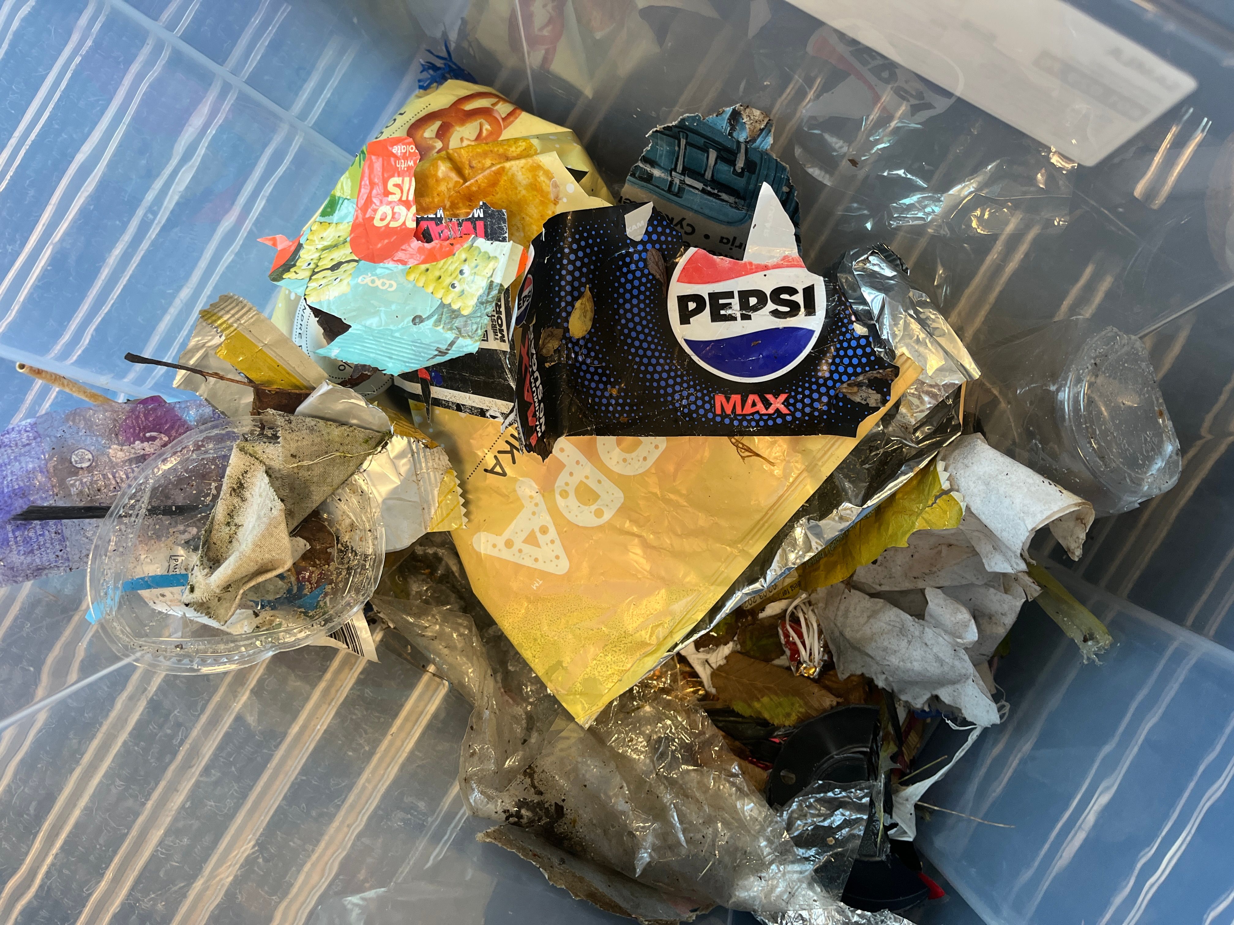 svar fra 5  ved Kringsjå skole