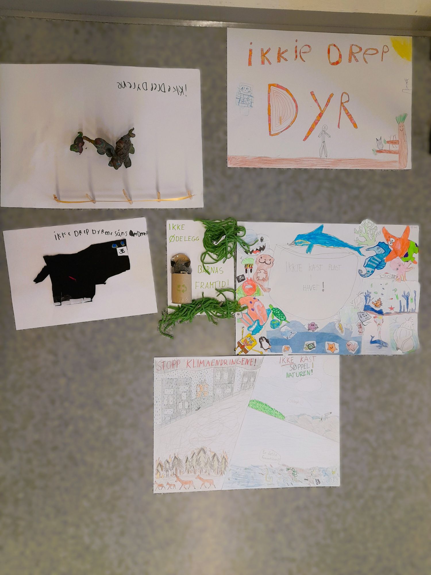 Innspill fra 6B Manger skule