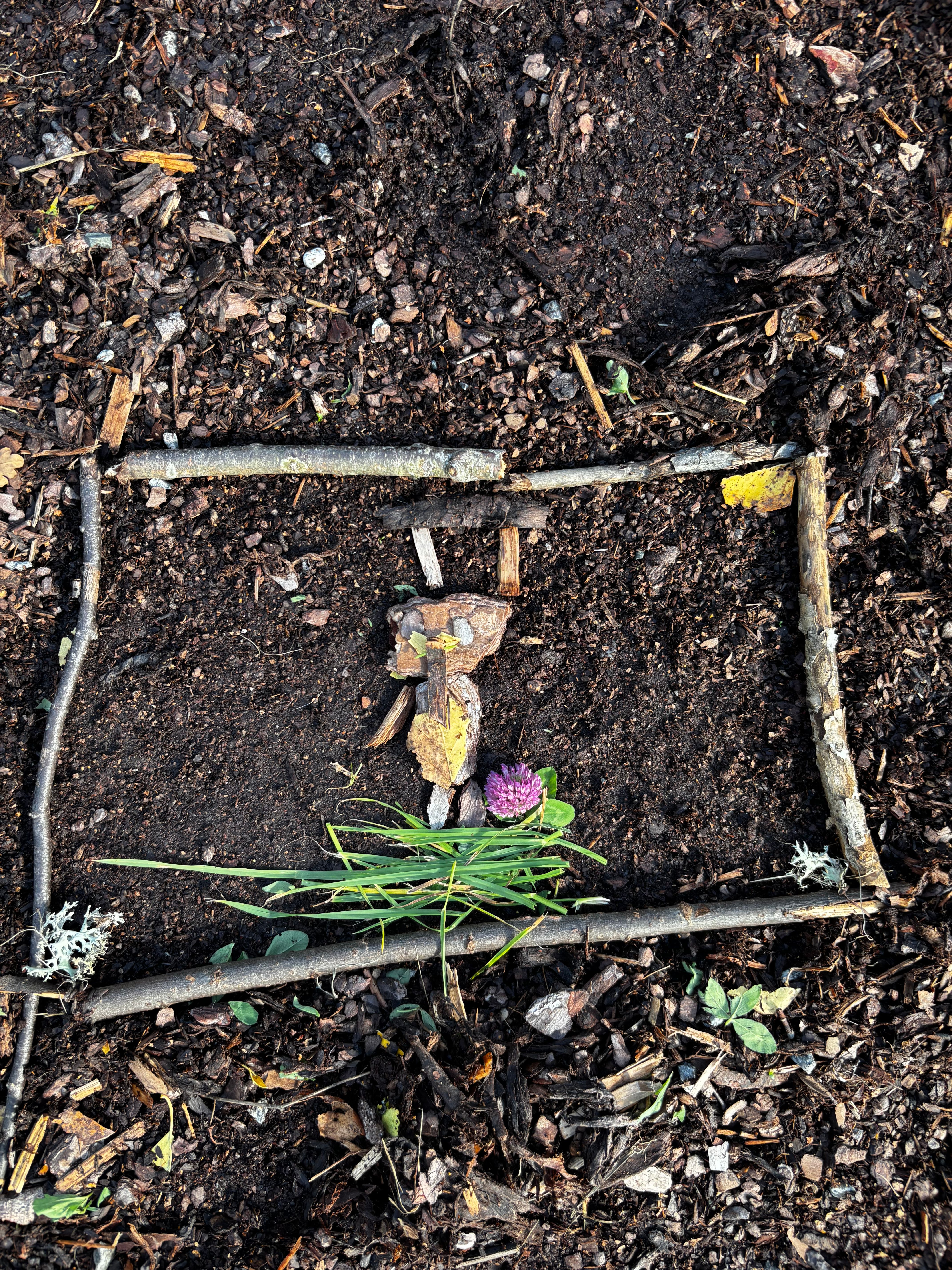 svar fra 3  ved Sjøskogen skole