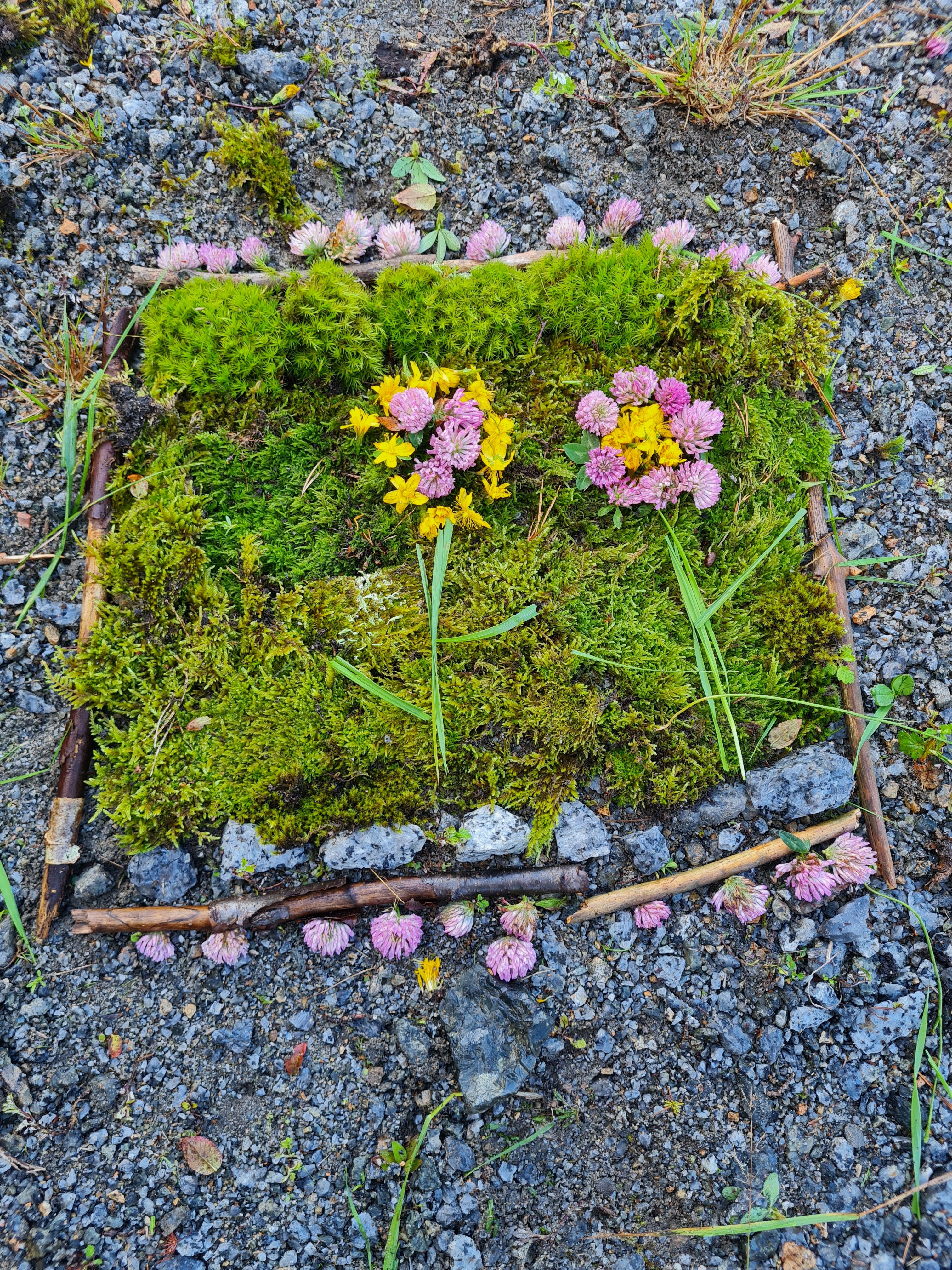 svar fra 5 C ved Fagerli skole