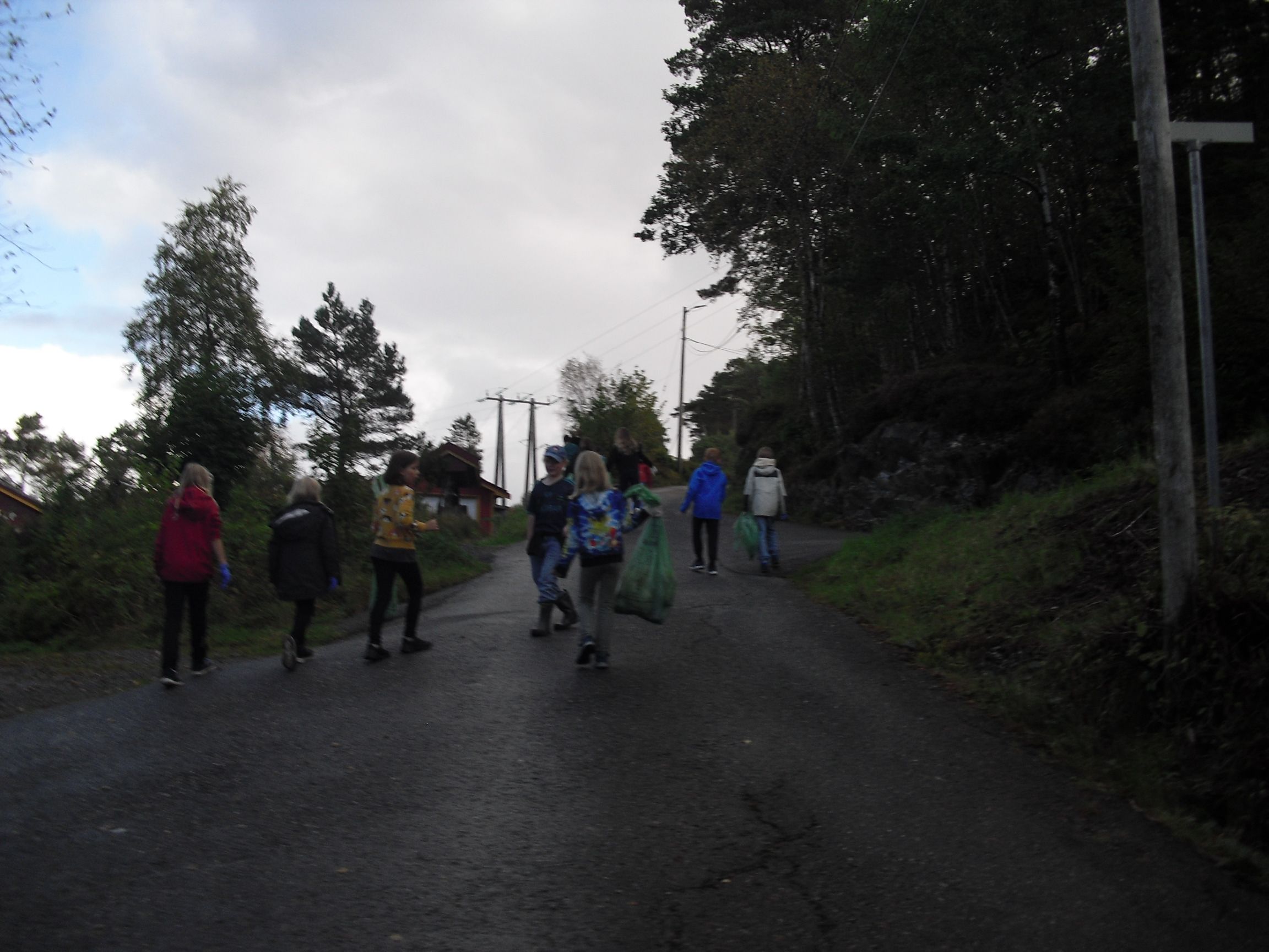 svar fra 6  ved Strøno barneskule