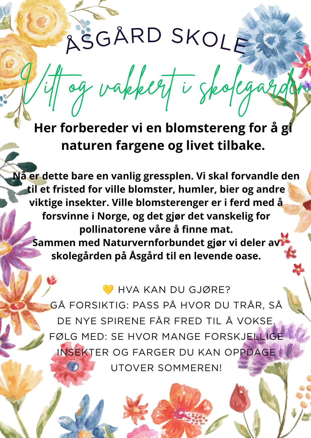 Innspill fra 7B Åsgård skole