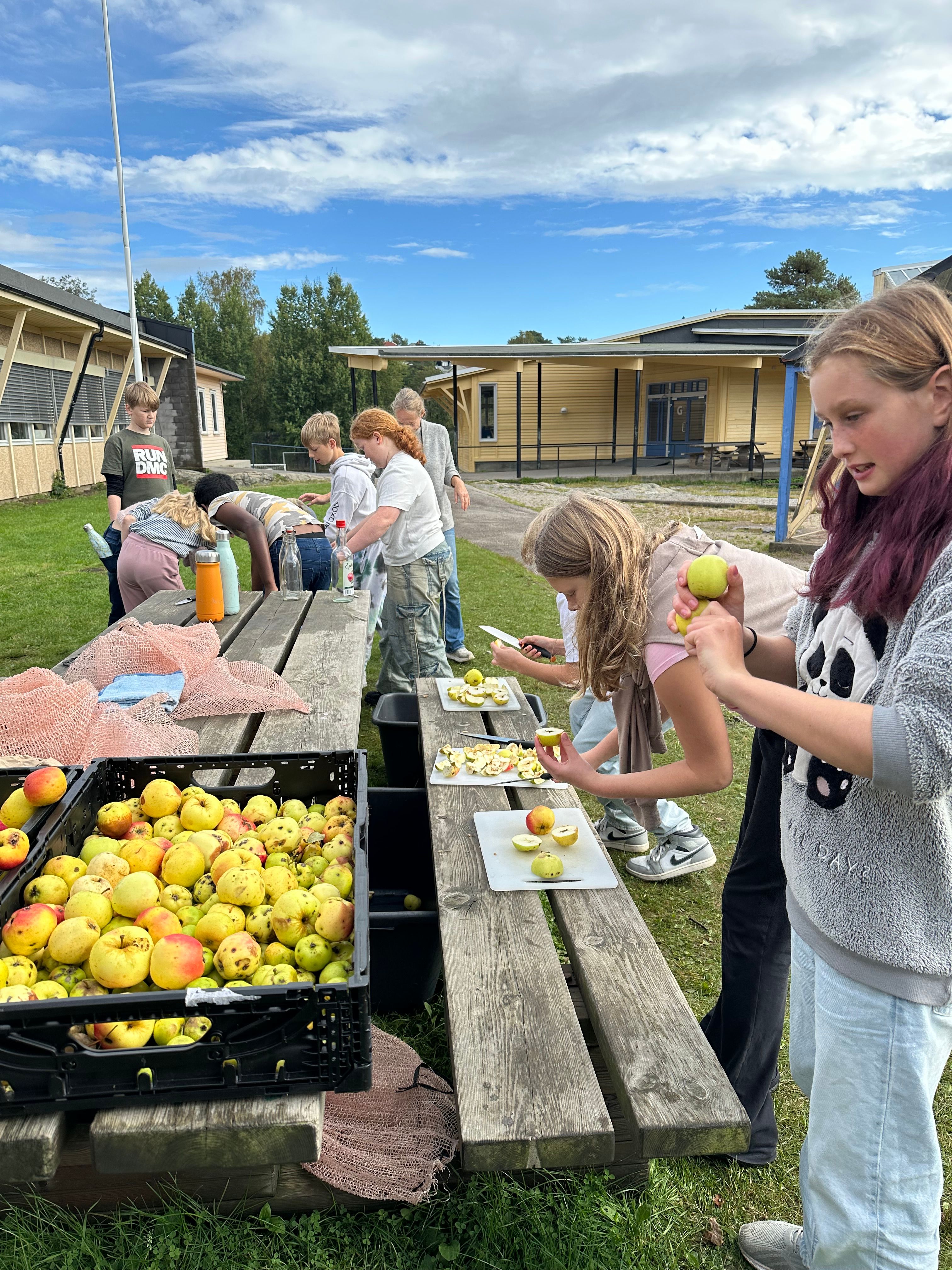 svar fra 6 A ved Lillesand kommune - Borkedalen skole