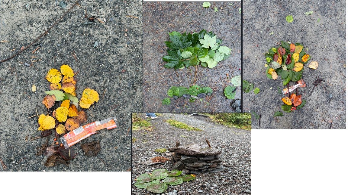 Innspill fra 7A Leirvik skule