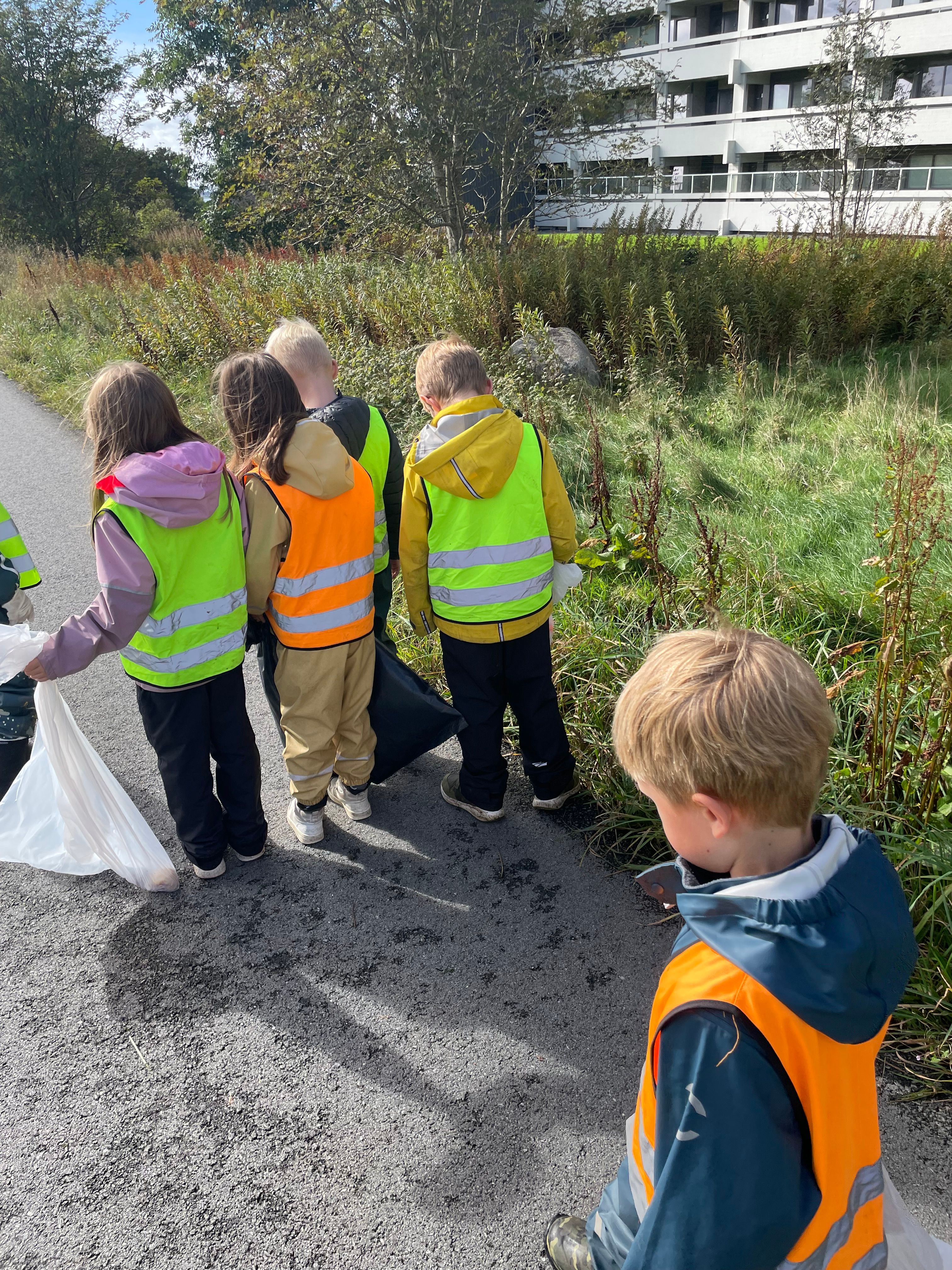 svar fra 2 B ved Madlavoll skole